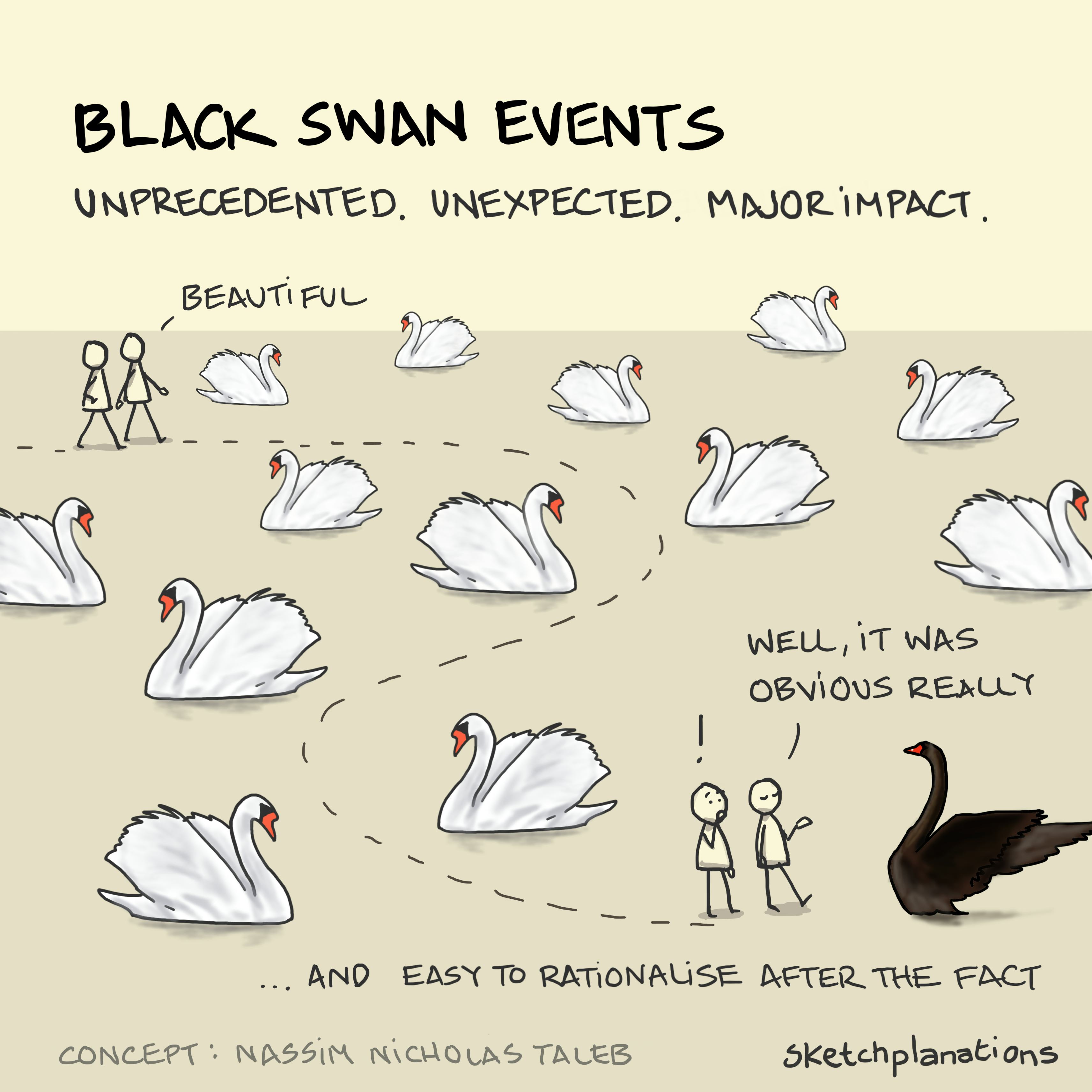 Two people walk through many white swans before bumping into a black swan. One claims it was obvious all along.
