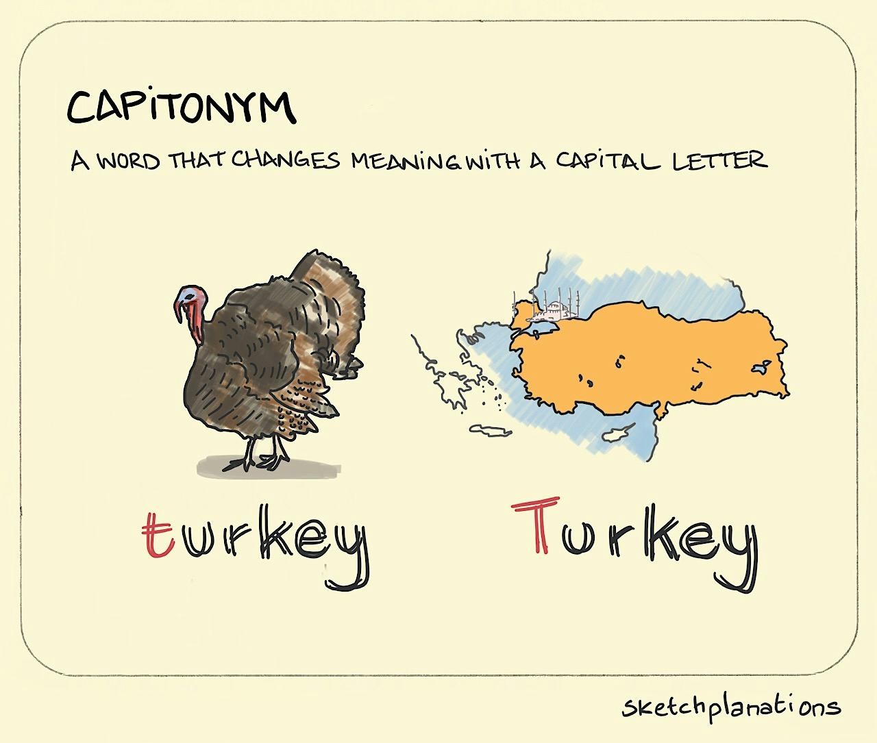 Capitonym illustration: a large turkey and a map of the country Turkey shows how adding a capital changes the meaning