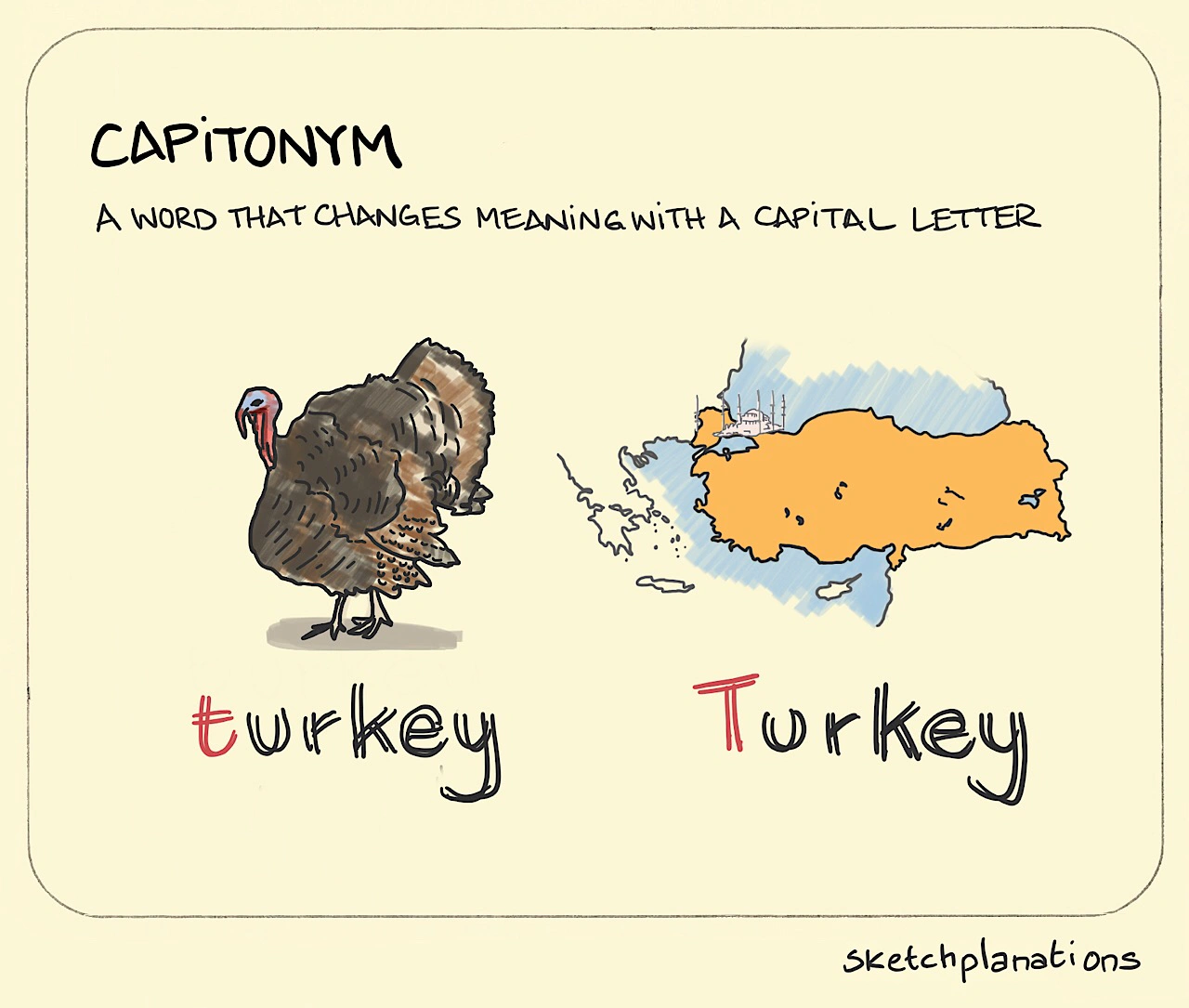 Capitonym illustration: a large turkey and a map of the country Turkey shows how adding a capital changes the meaning