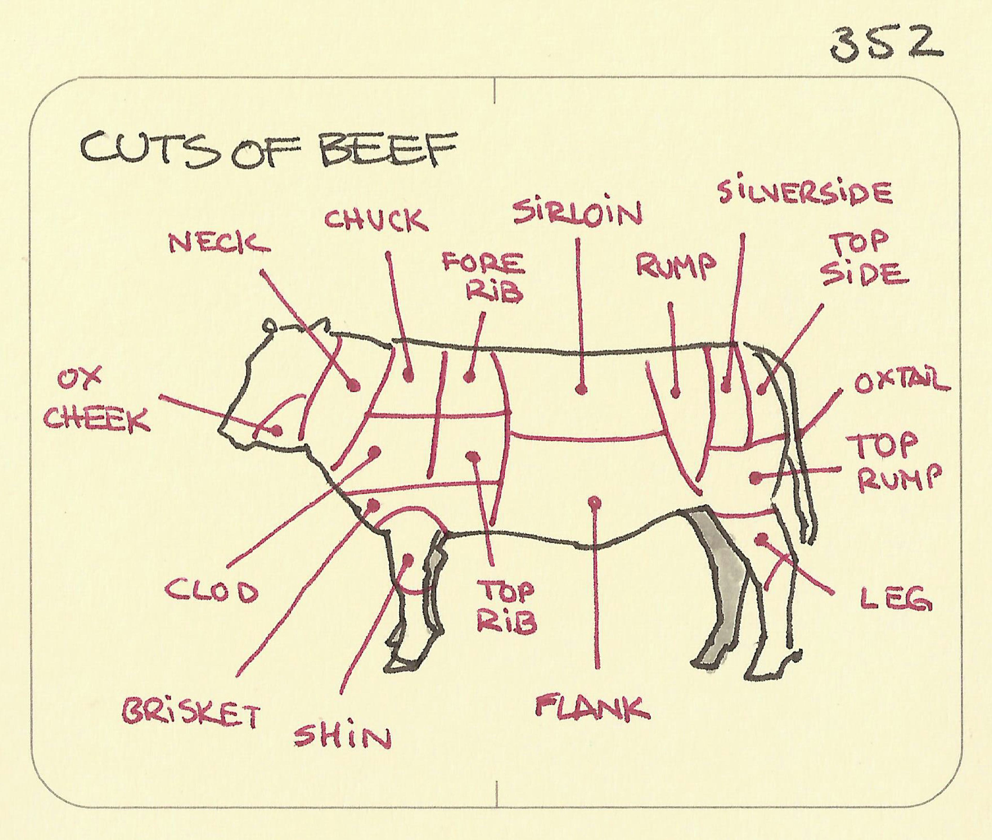 Cuts of beef - Sketchplanations