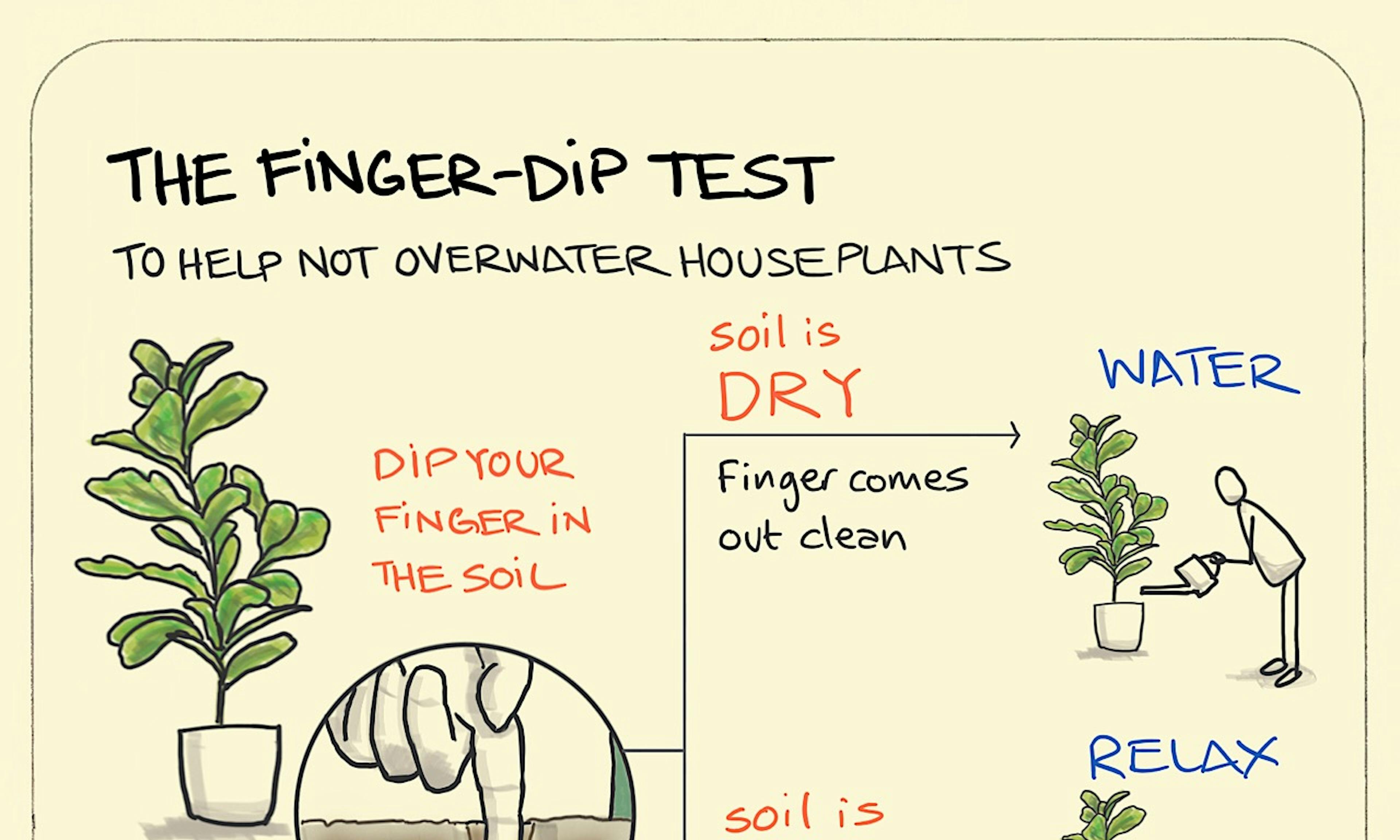 The Finger-dip Test illustration: a finger is pushed into the soil of a healthy, green houseplant down to around the first knuckle. Where the soil is found to be dry, the owner of said finger tops it up with water. Where the soil is found to be moist, they sit back and enjoy a good book in an armchair next to the plant.