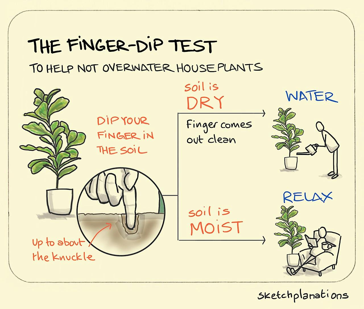 The finger-dip test to not overwater houseplants The Finger-dip Test illustration: a finger is pushed into the soil of a healthy, green houseplant down to around the first knuckle. Where the soil is found to be dry, the owner of said finger tops it up with water. Where the soil is found to be moist, they sit back and enjoy a good book in an armchair next to the plant.