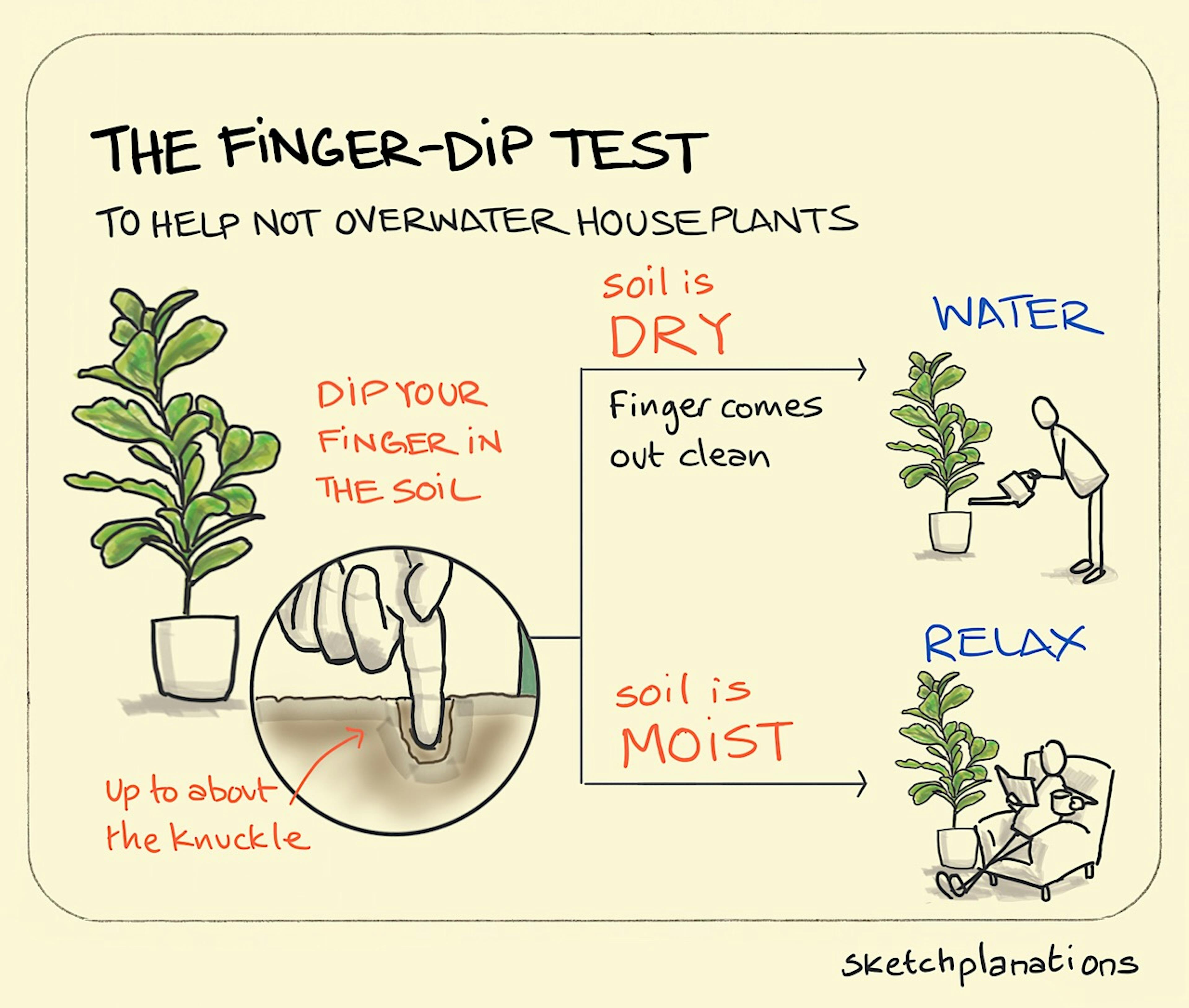 The Finger-dip Test illustration: a finger is pushed into the soil of a healthy, green houseplant down to around the first knuckle. Where the soil is found to be dry, the owner of said finger tops it up with water. Where the soil is found to be moist, they sit back and enjoy a good book in an armchair next to the plant. 