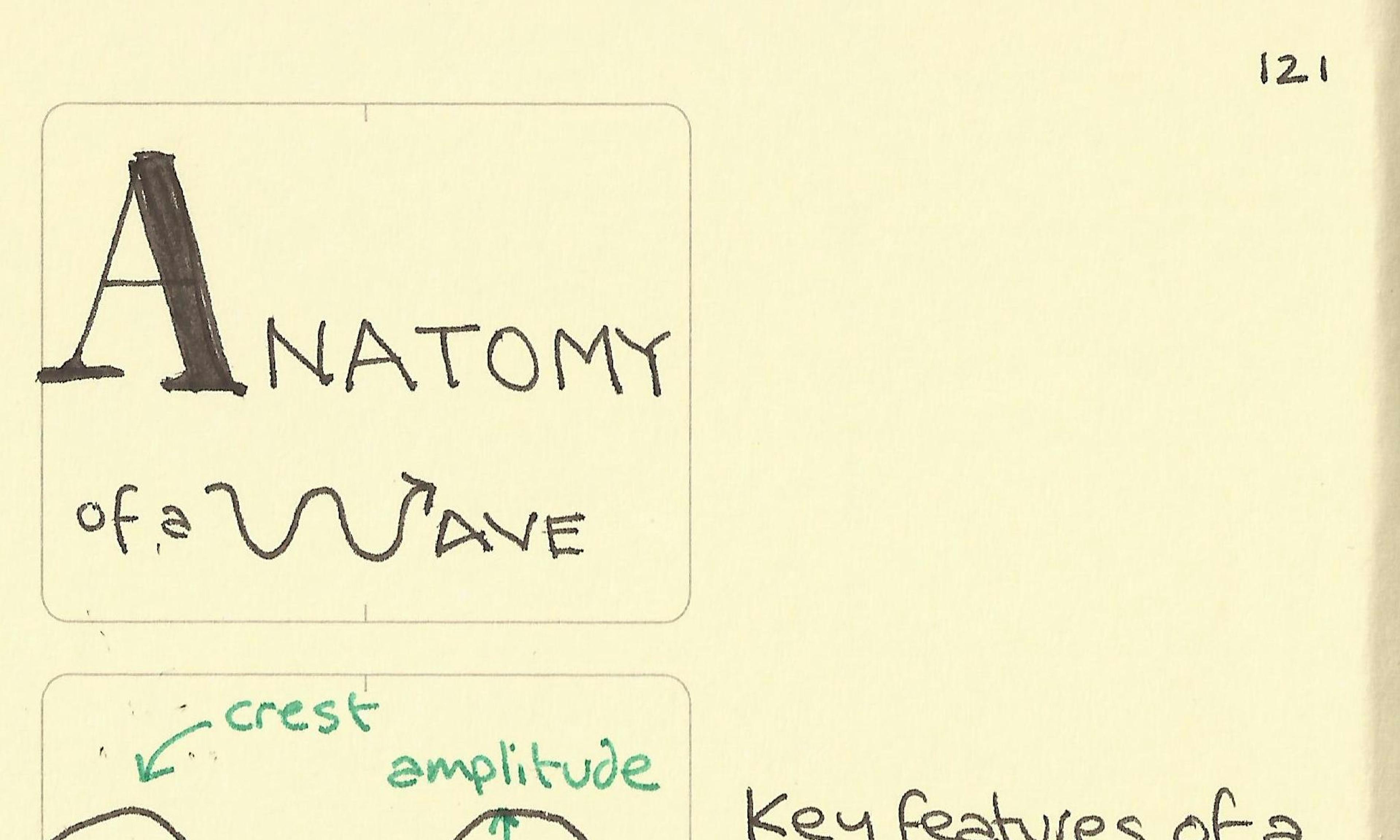 Anatomy of a wave illustration showing the key features of crest, amplitude, trough, wavelength and when it starts to break on a beach