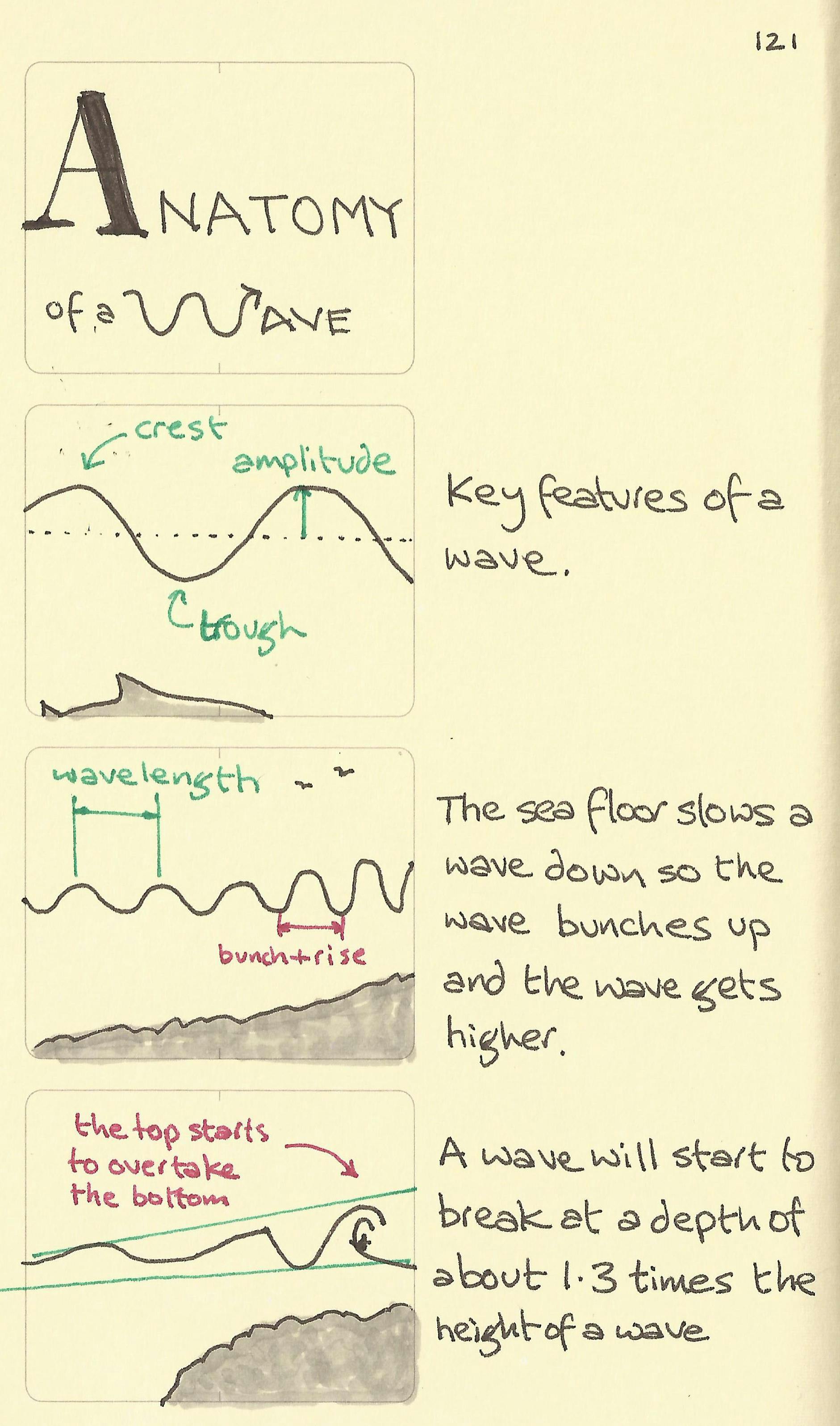 Anatomy of a wave Anatomy of a wave illustration showing the key features of crest, amplitude, trough, wavelength and when it starts to break on a beach