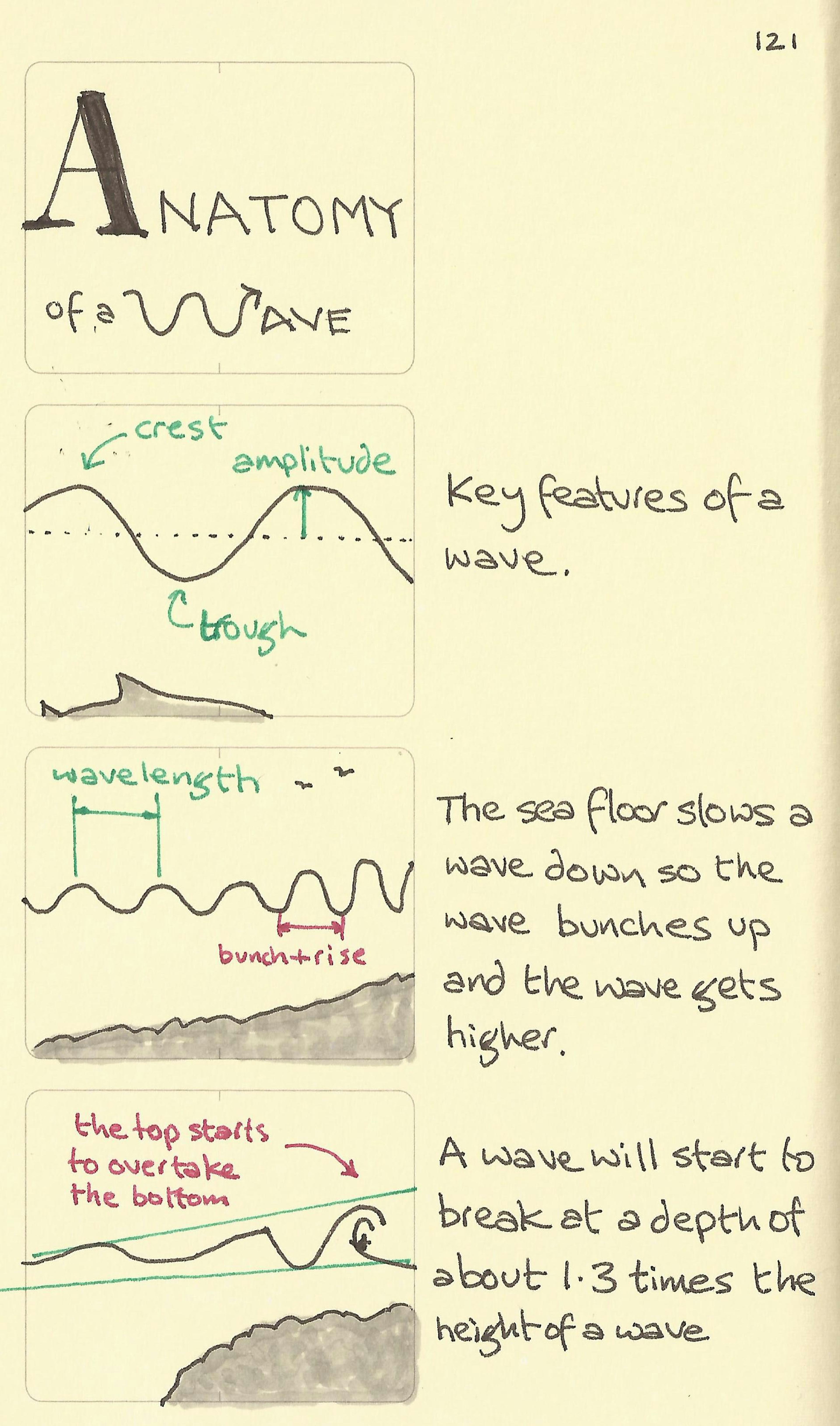 Anatomy of a wave illustration showing the key features of crest, amplitude, trough, wavelength and when it starts to break on a beach
