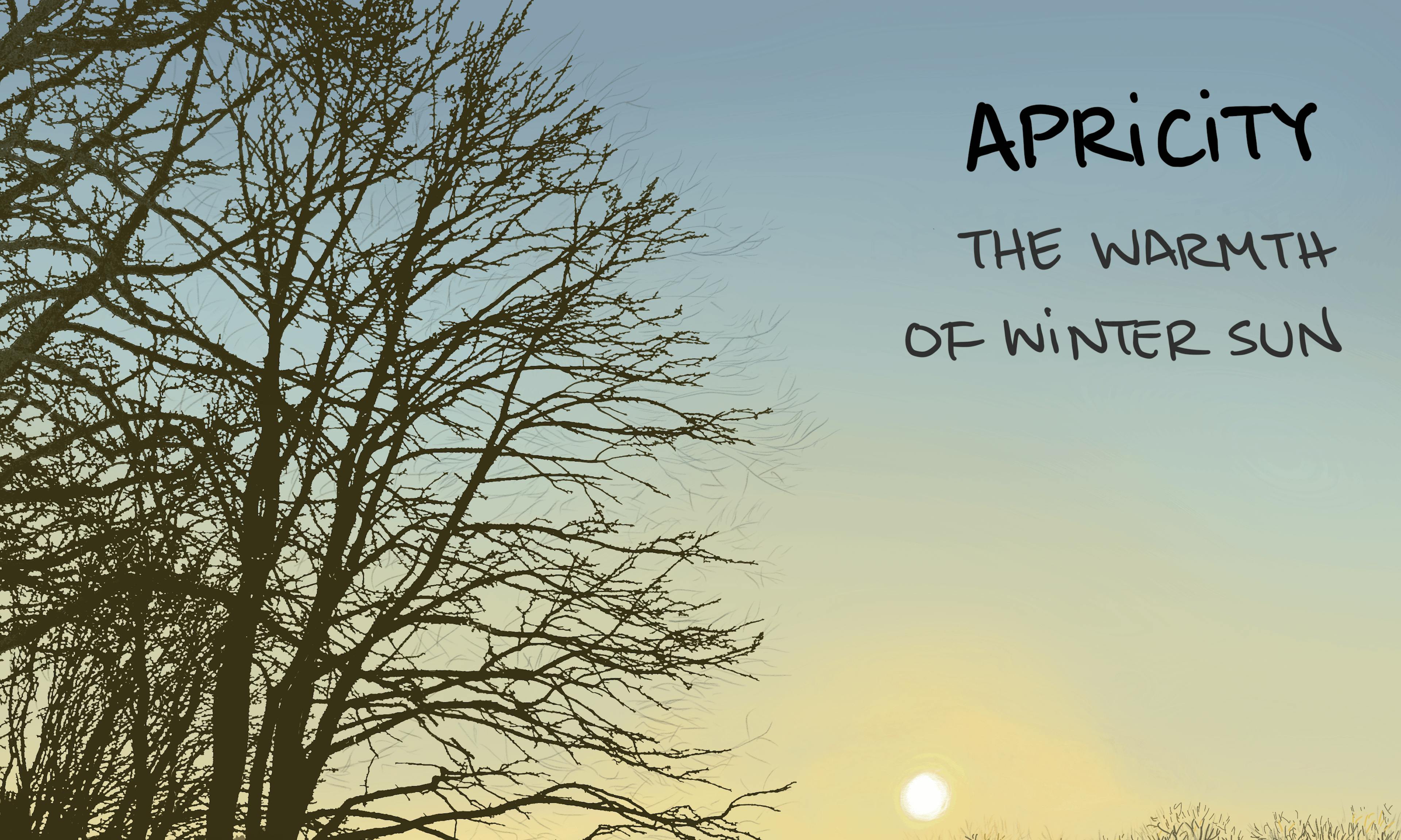 Two people are loving soaking up the low winter rays of sun in a park