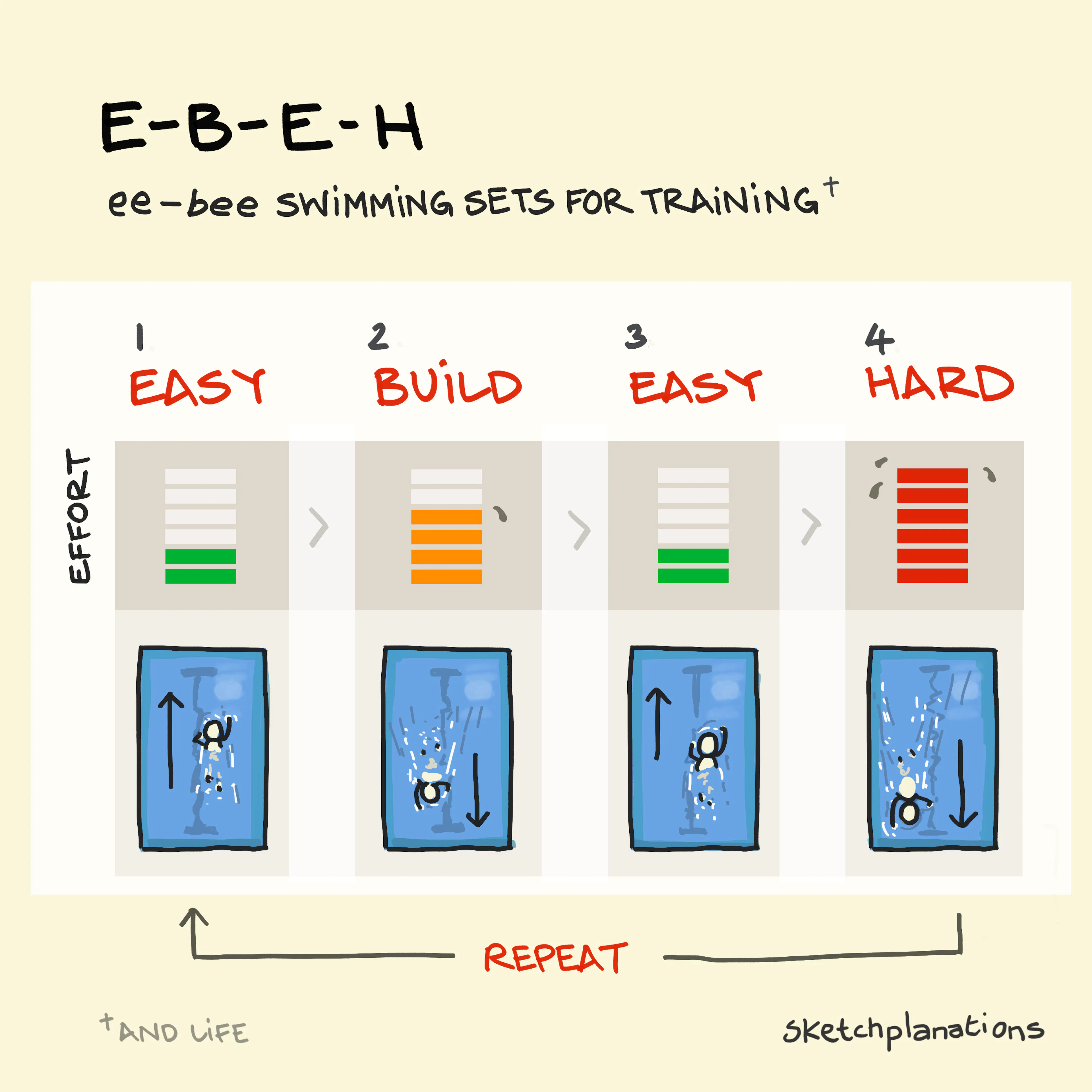 EBEH swimming sets for endurance training and life. Easy, build, easy, hard, repeat.