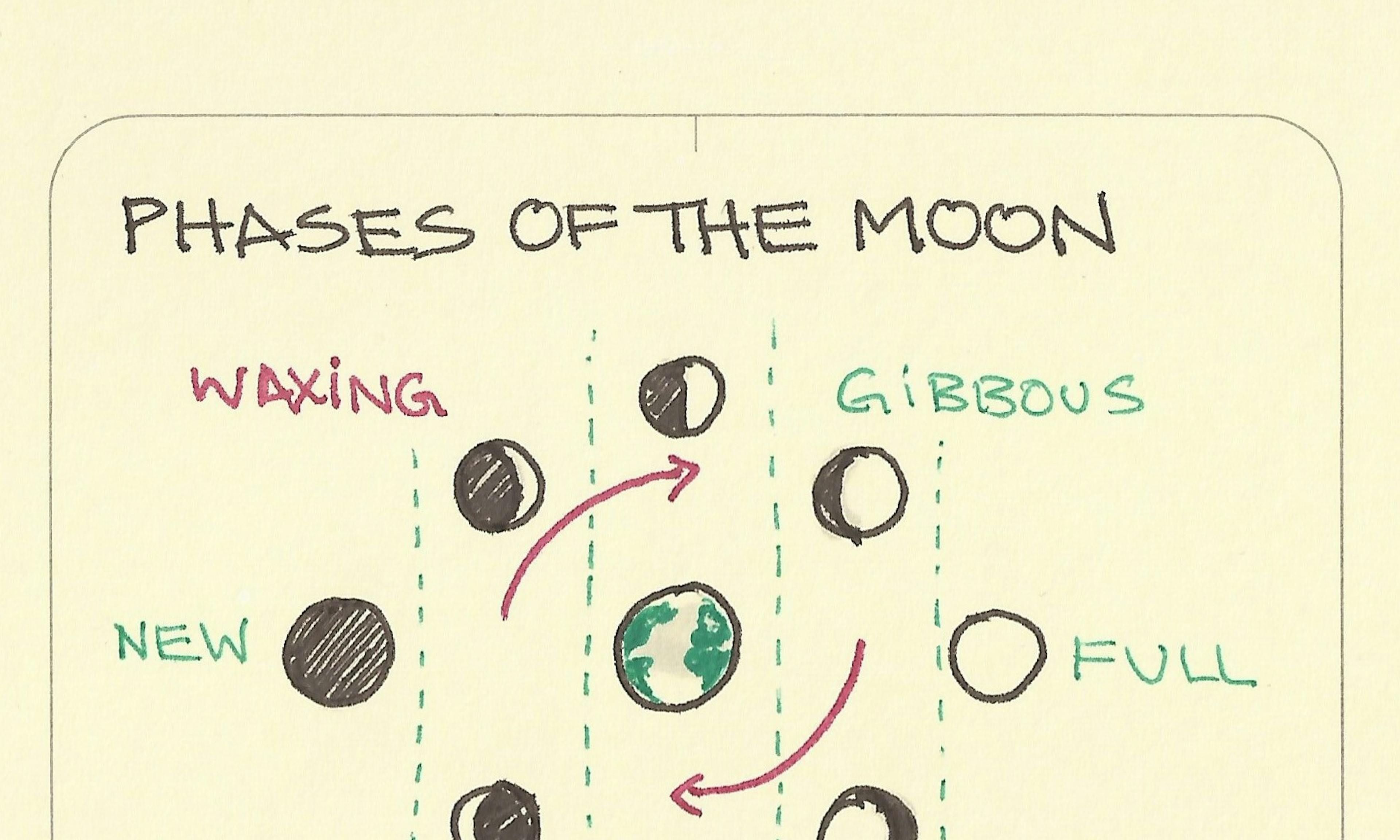 Phases of the moon diagram: new moon, full moon, crescent moon, gibbous moon and waxing and waning phases