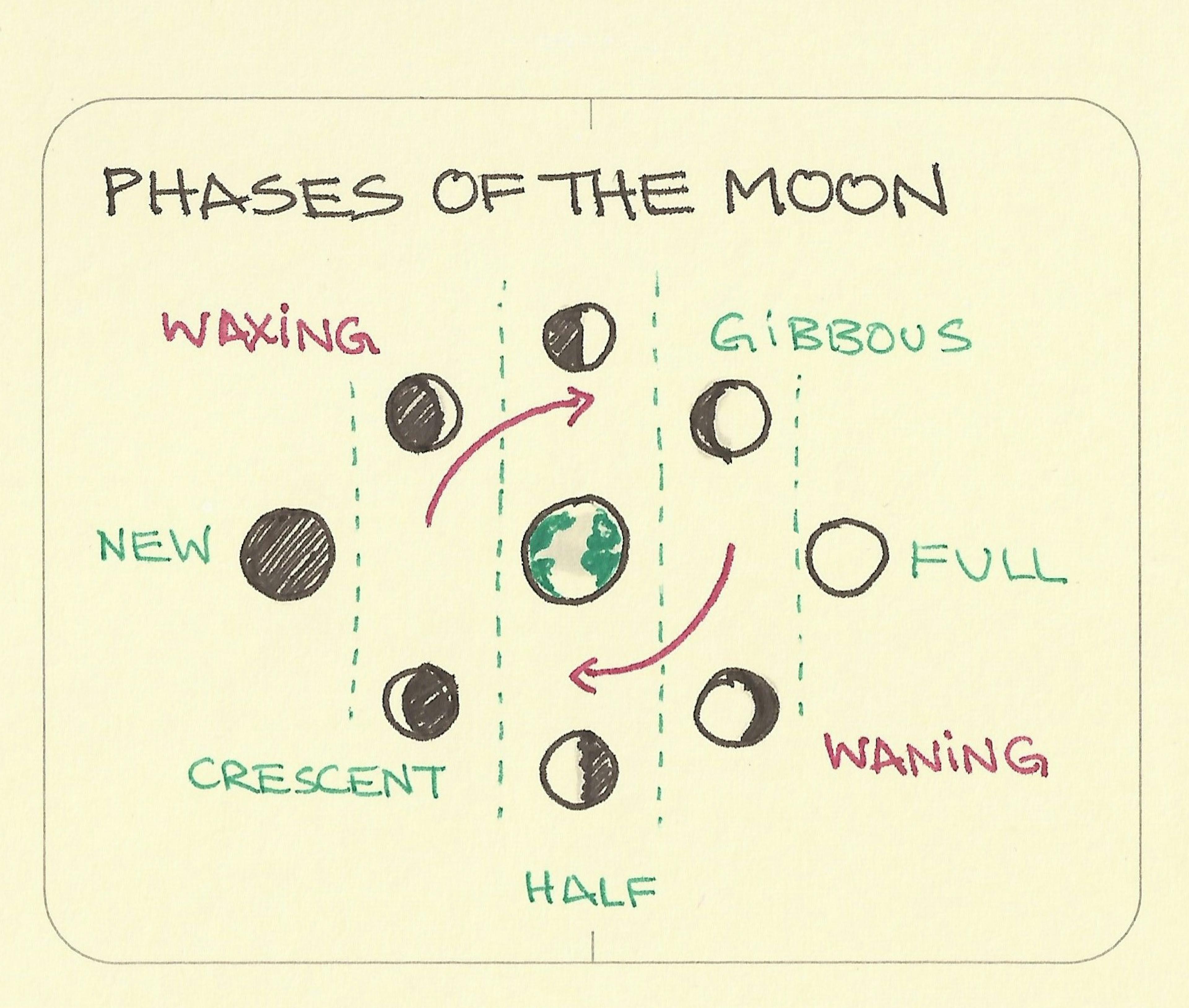 Phases of the moon diagram: new moon, full moon, crescent moon, gibbous moon and waxing and waning phases