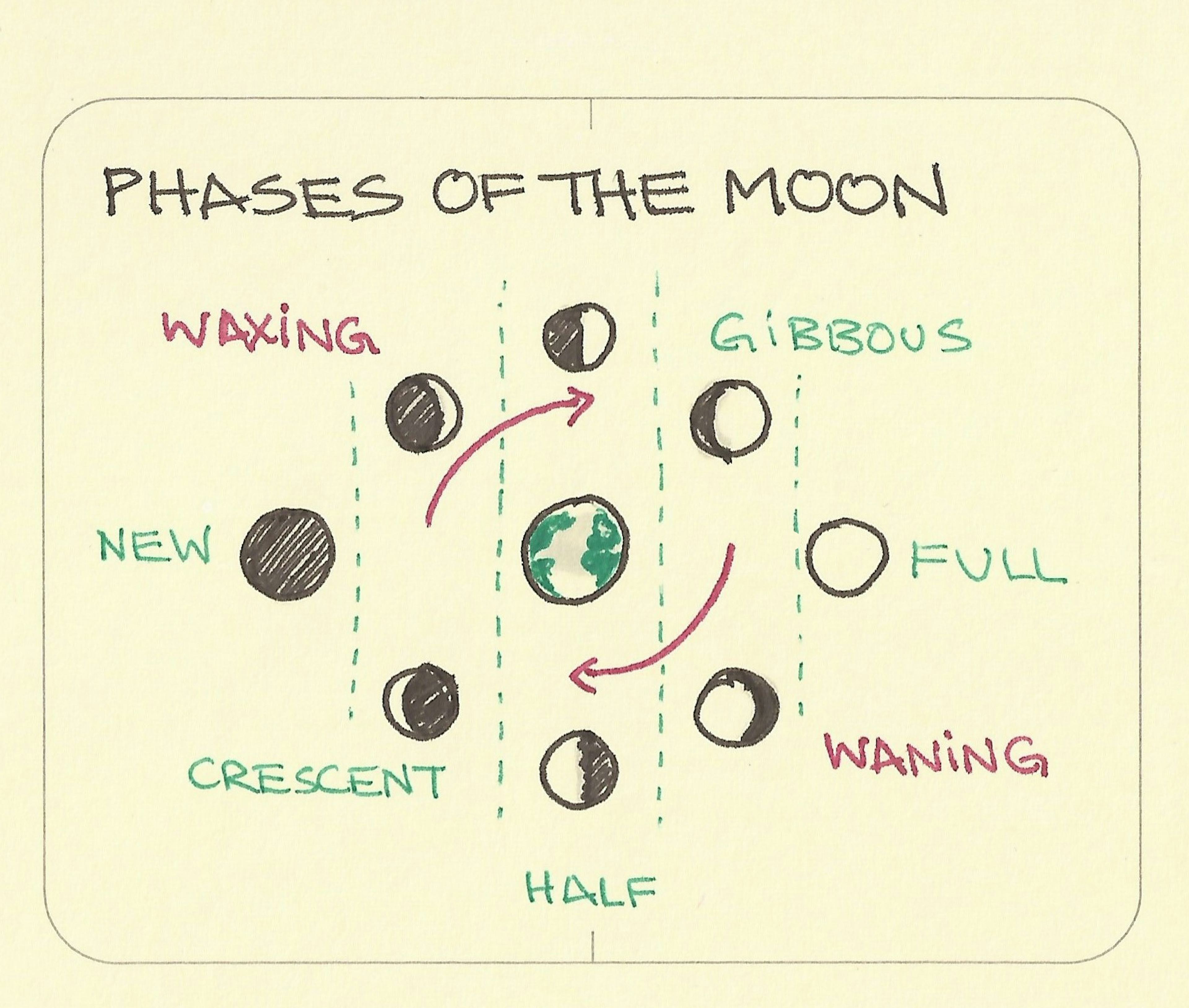 Phases of the moon - Sketchplanations