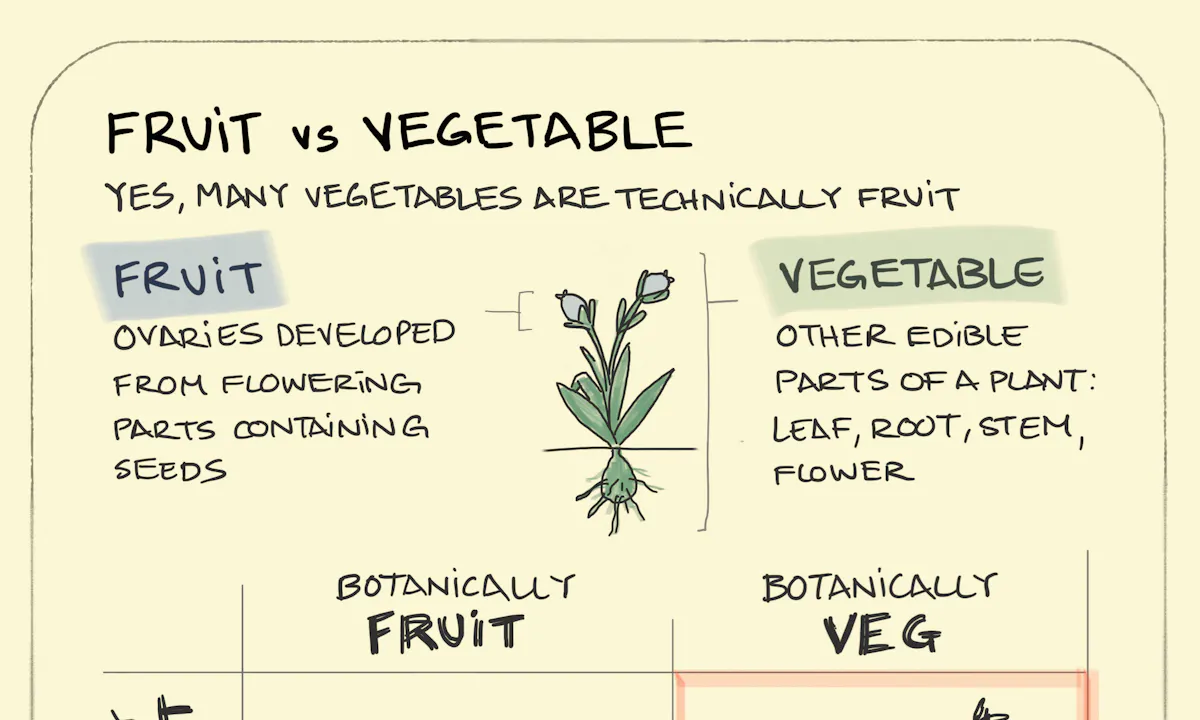 The Tomato Test Sketchplanations the-tomato-test-sketchplanations
