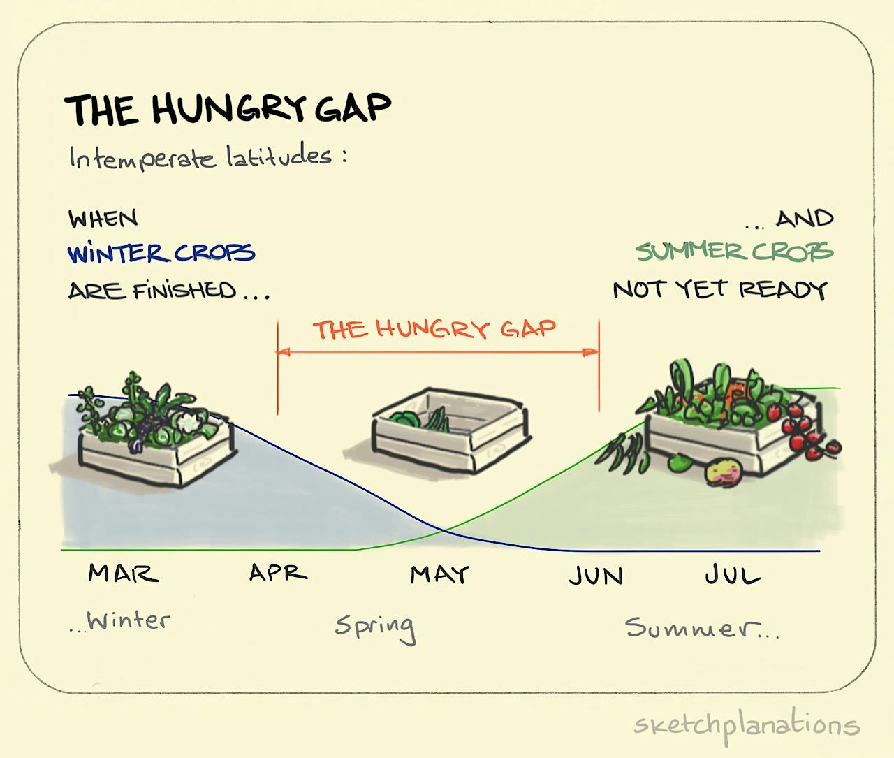 The hungry gap illustration showing a timeline with a full box of Winter vegetables leading out of April, a nearly empty box in May, and an overflowing one in the Summer