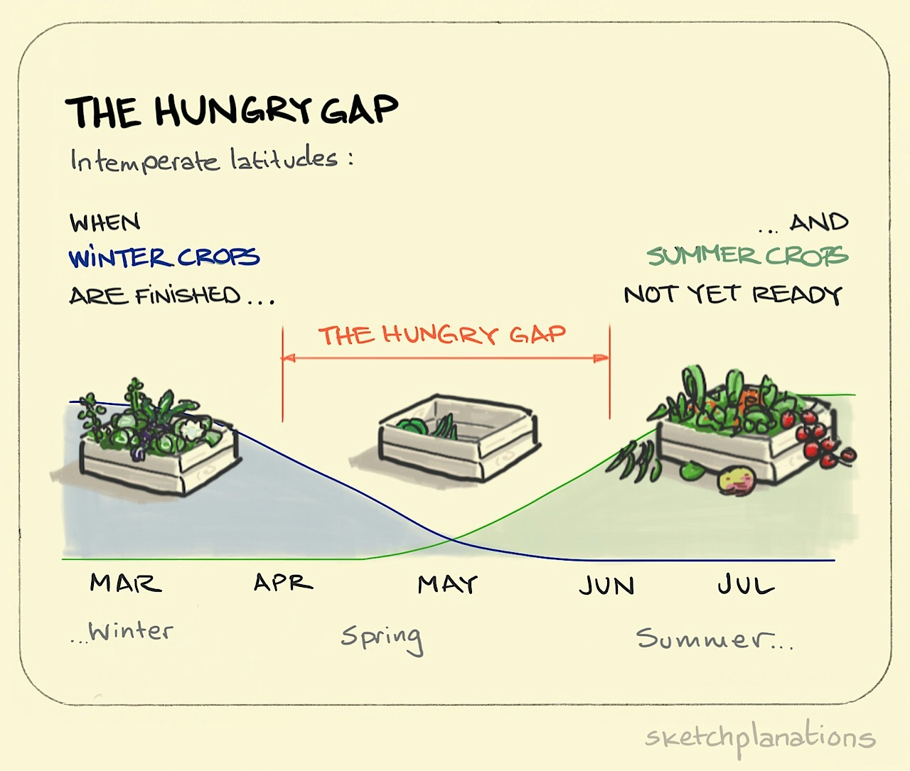 What is the hungry gap explained showing a timeline with a full box of Winter vegetables leading out of April, a nearly empty box in May, and an overflowing one in the Summer