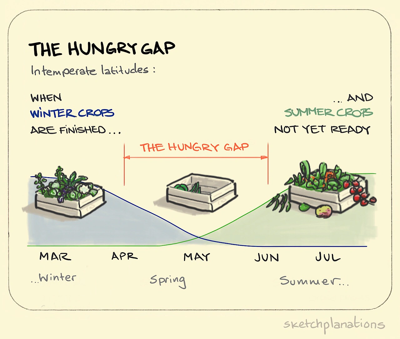 What is the hungry gap explained showing a timeline with a full box of Winter vegetables leading out of April, a nearly empty box in May, and an overflowing one in the Summer