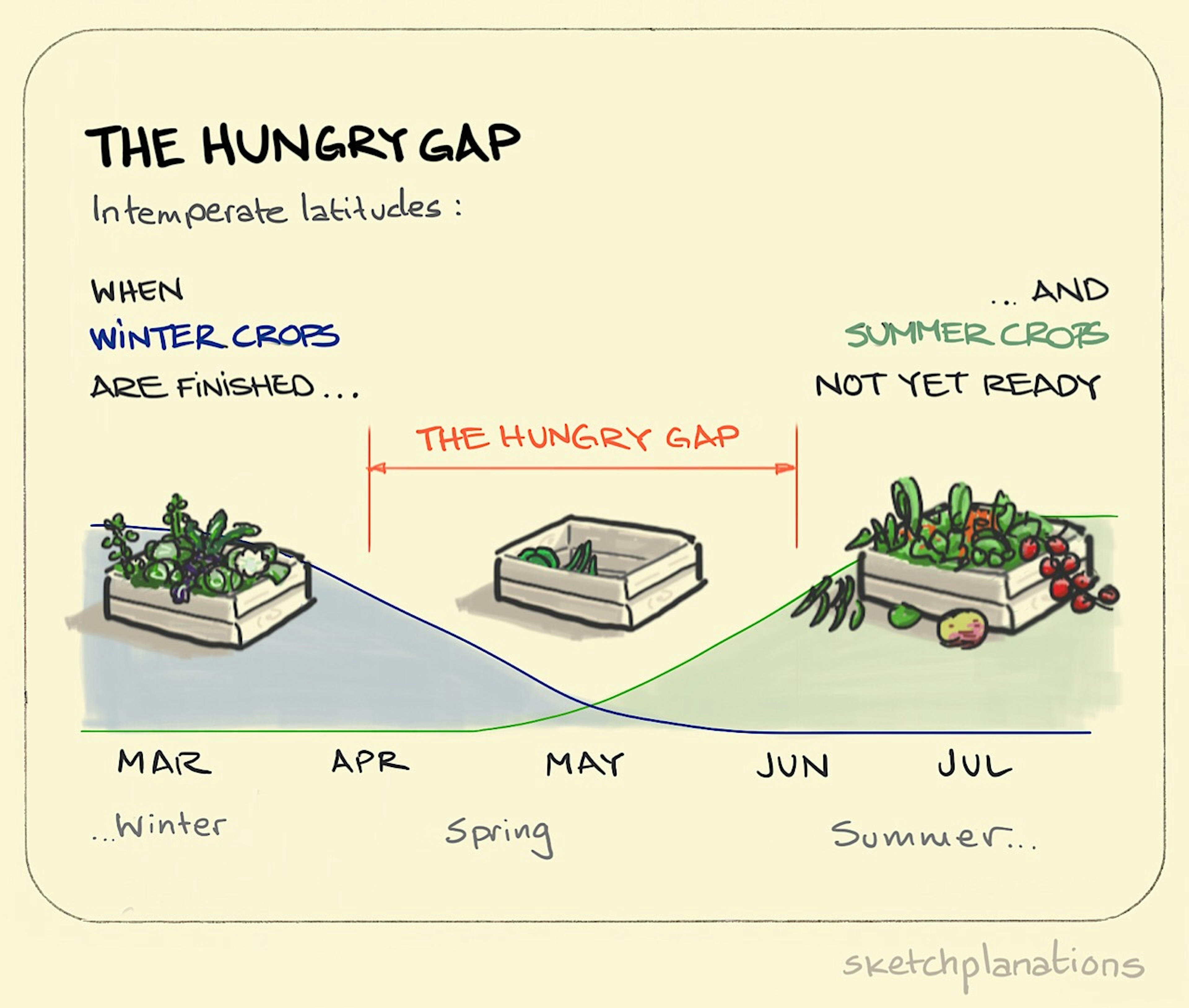 What is the hungry gap explained showing a timeline with a full box of Winter vegetables leading out of April, a nearly empty box in May, and an overflowing one in the Summer