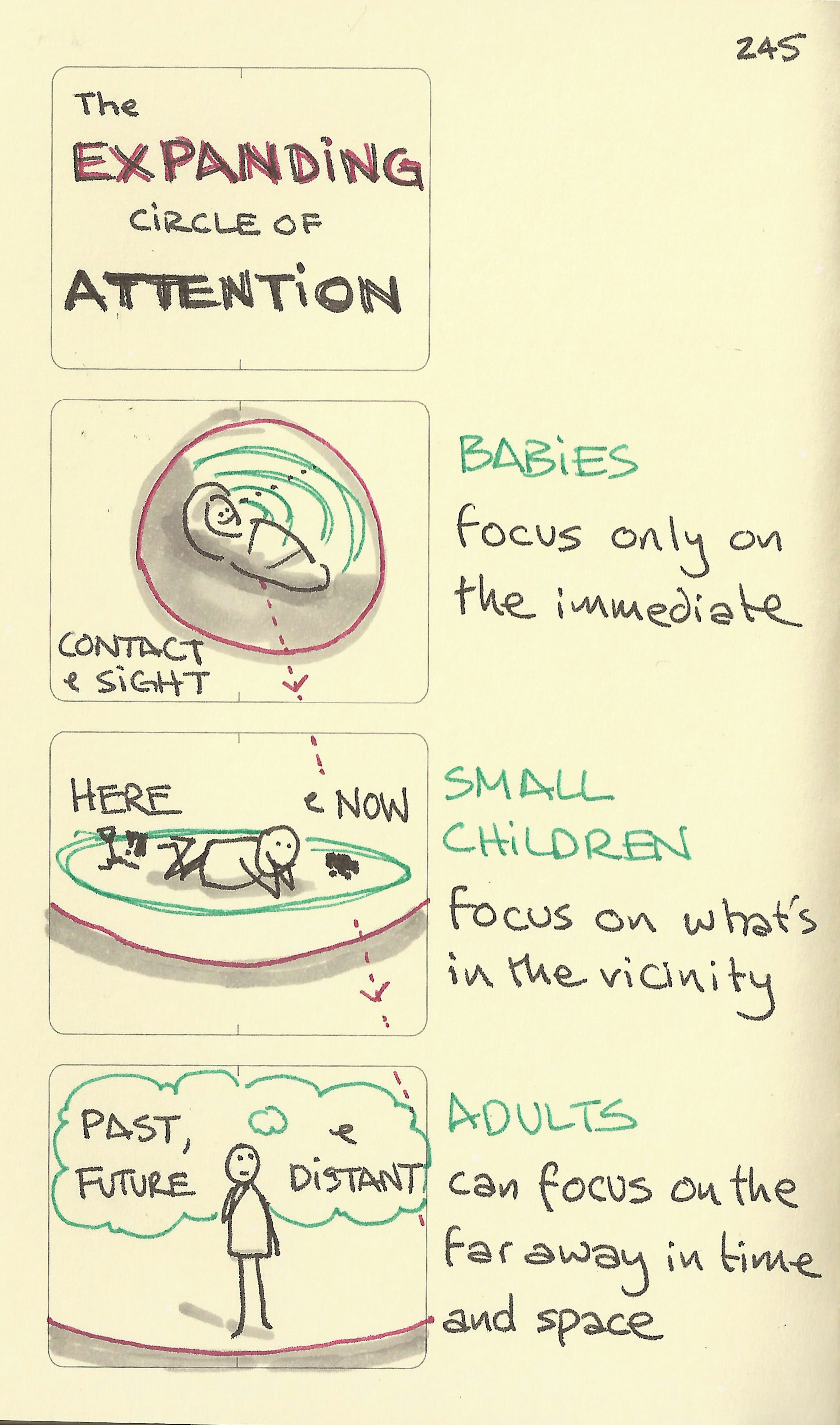 The expanding circle of attention - Sketchplanations