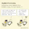 What is Rubberducking? An Explanation of the Rubber Duck Debugging ...