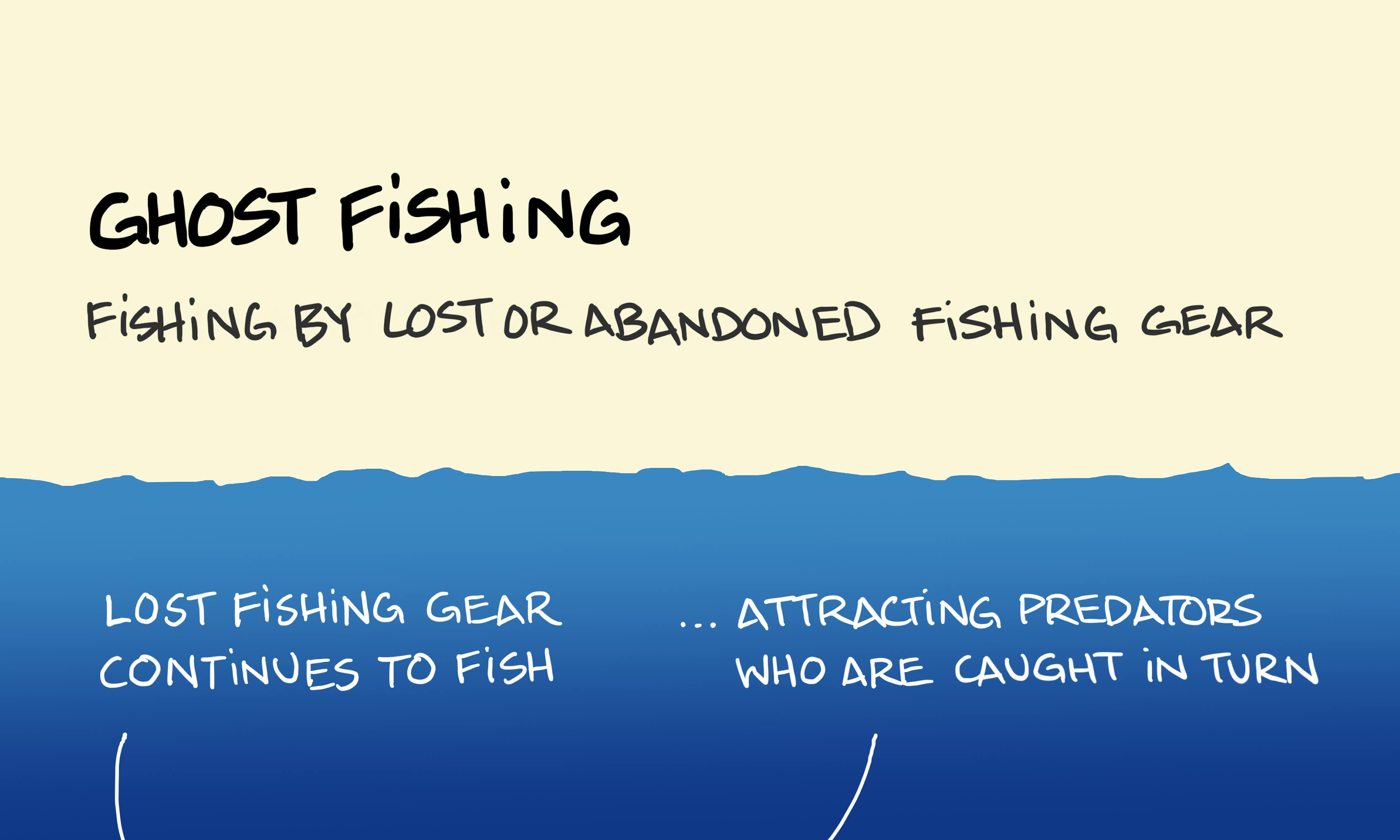 What is ghost fishing showing a discarded fishing net catching fish and other predators