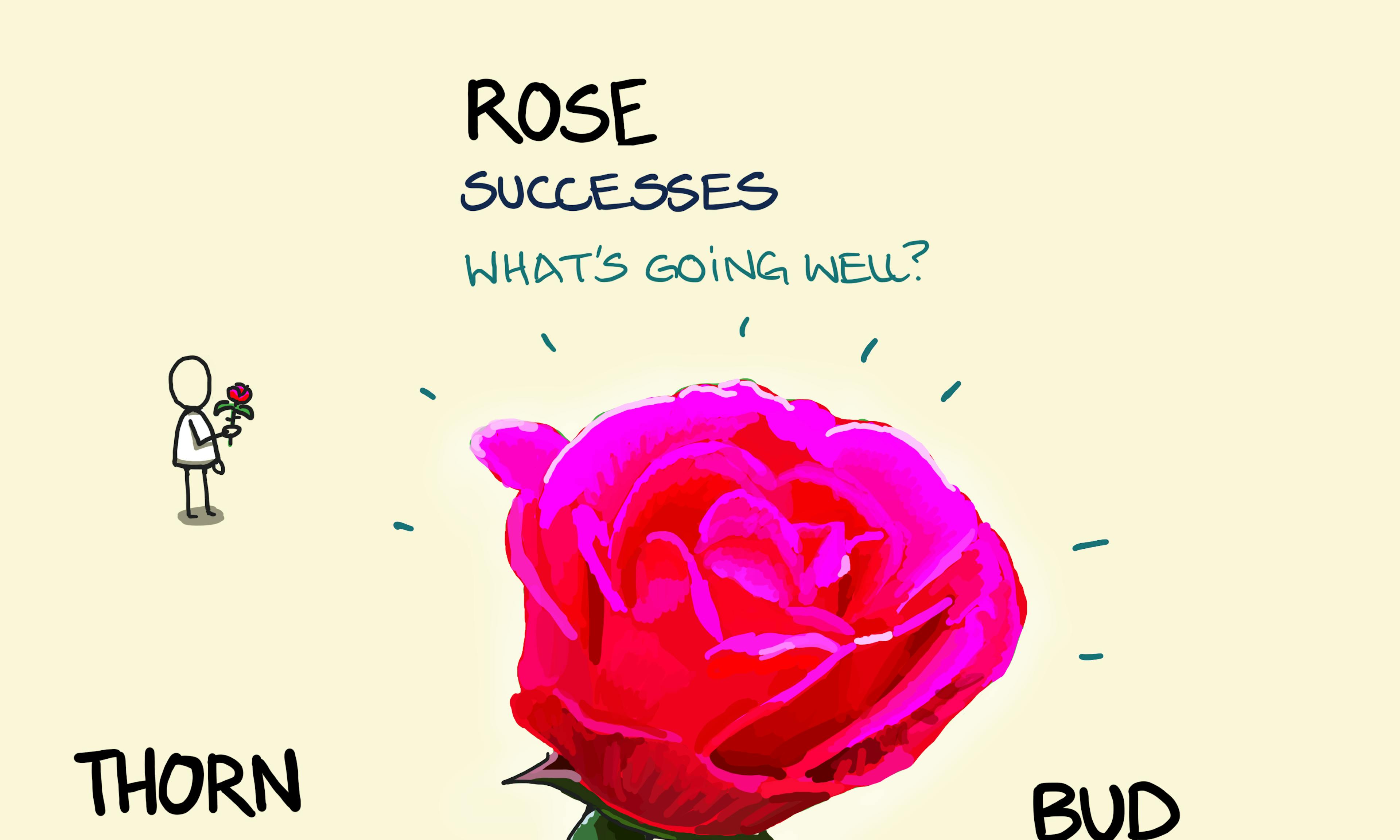 Rose Thorn Bud reflection technique summary showing a rose with thorn and bud highlighting successes, challenges and potential