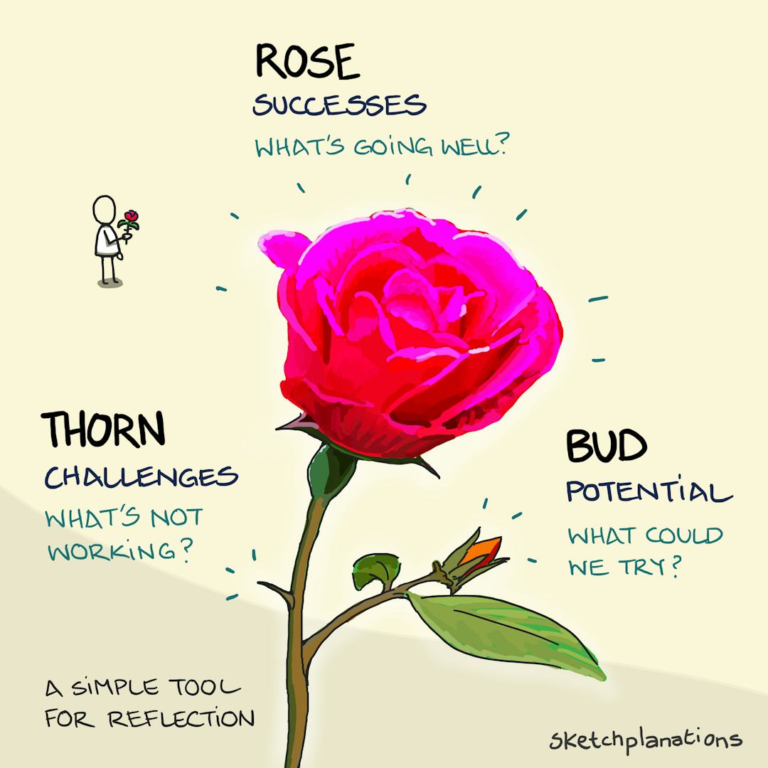 rose-thorn-bud-sketchplanations