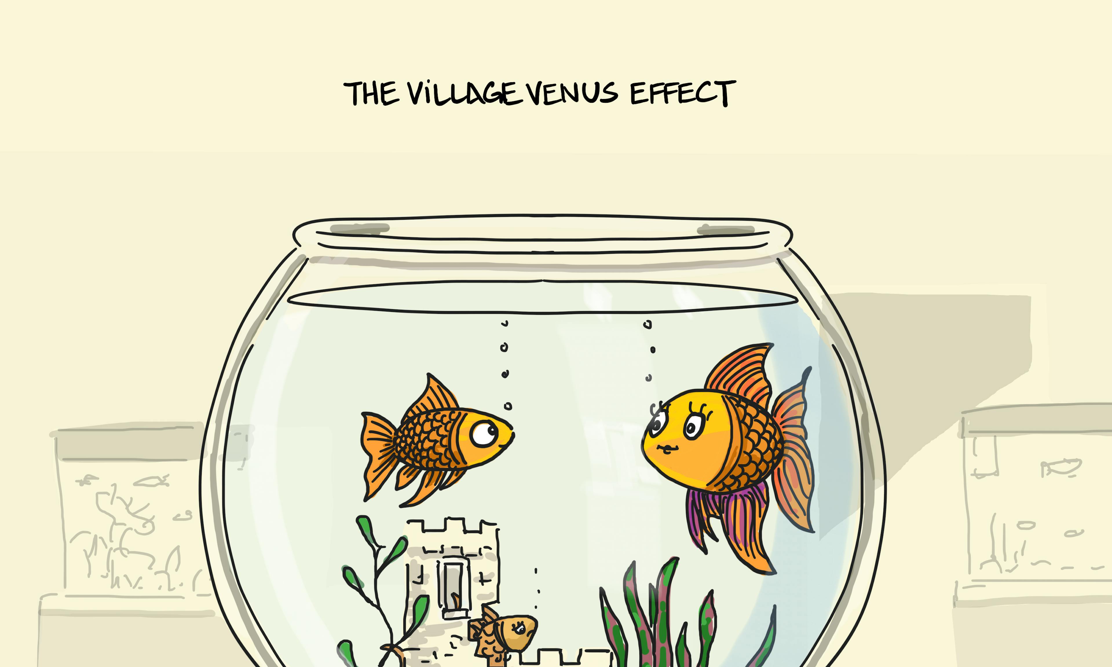 The Village Venus effect example, a term from Edward De Bono, with a fish declaring that another fish in the fish bowl is the most beautiful fish in the whole world