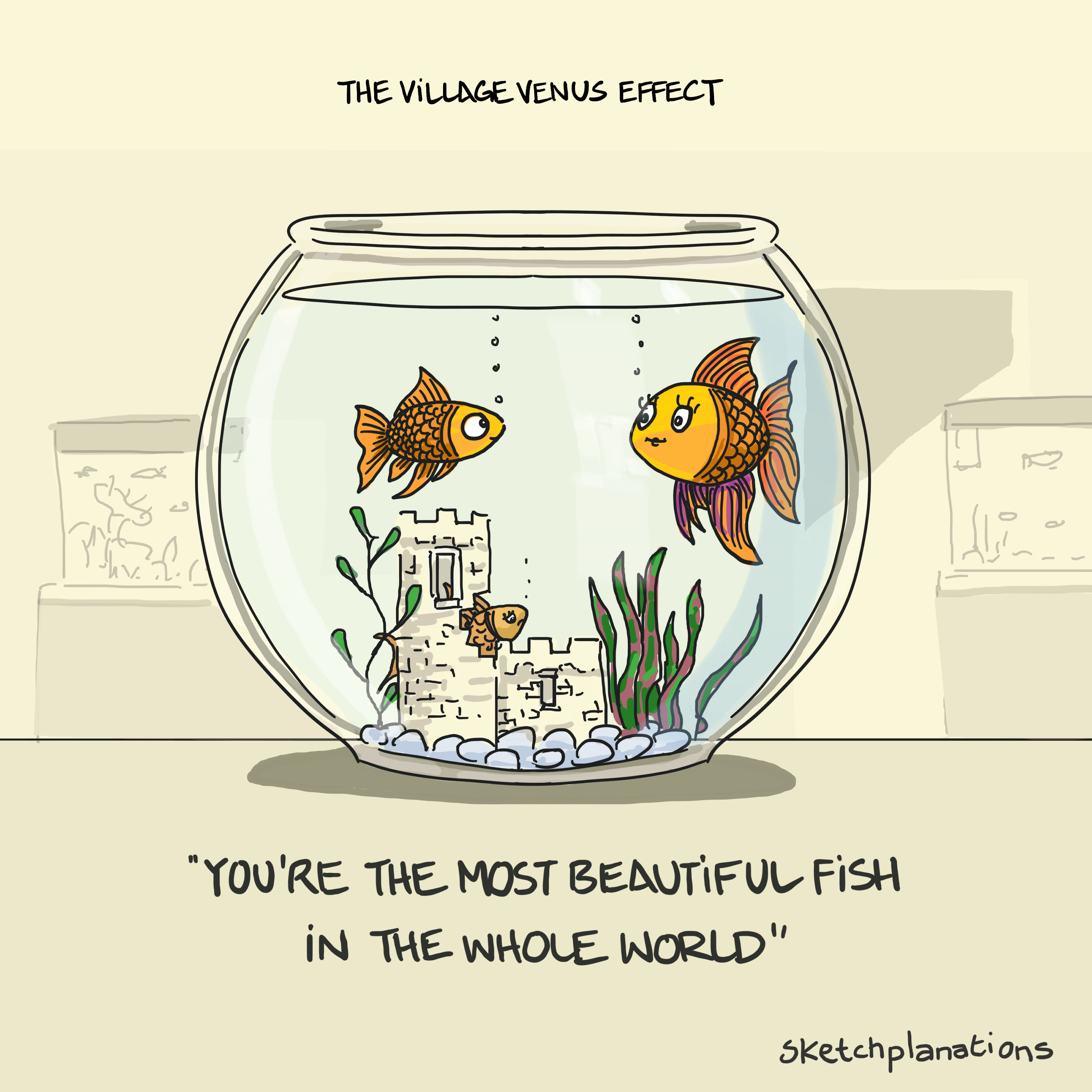 The Village Venus effect example, a term from Edward De Bono, with a fish declaring that another fish in the fish bowl is the most beautiful fish in the whole world
