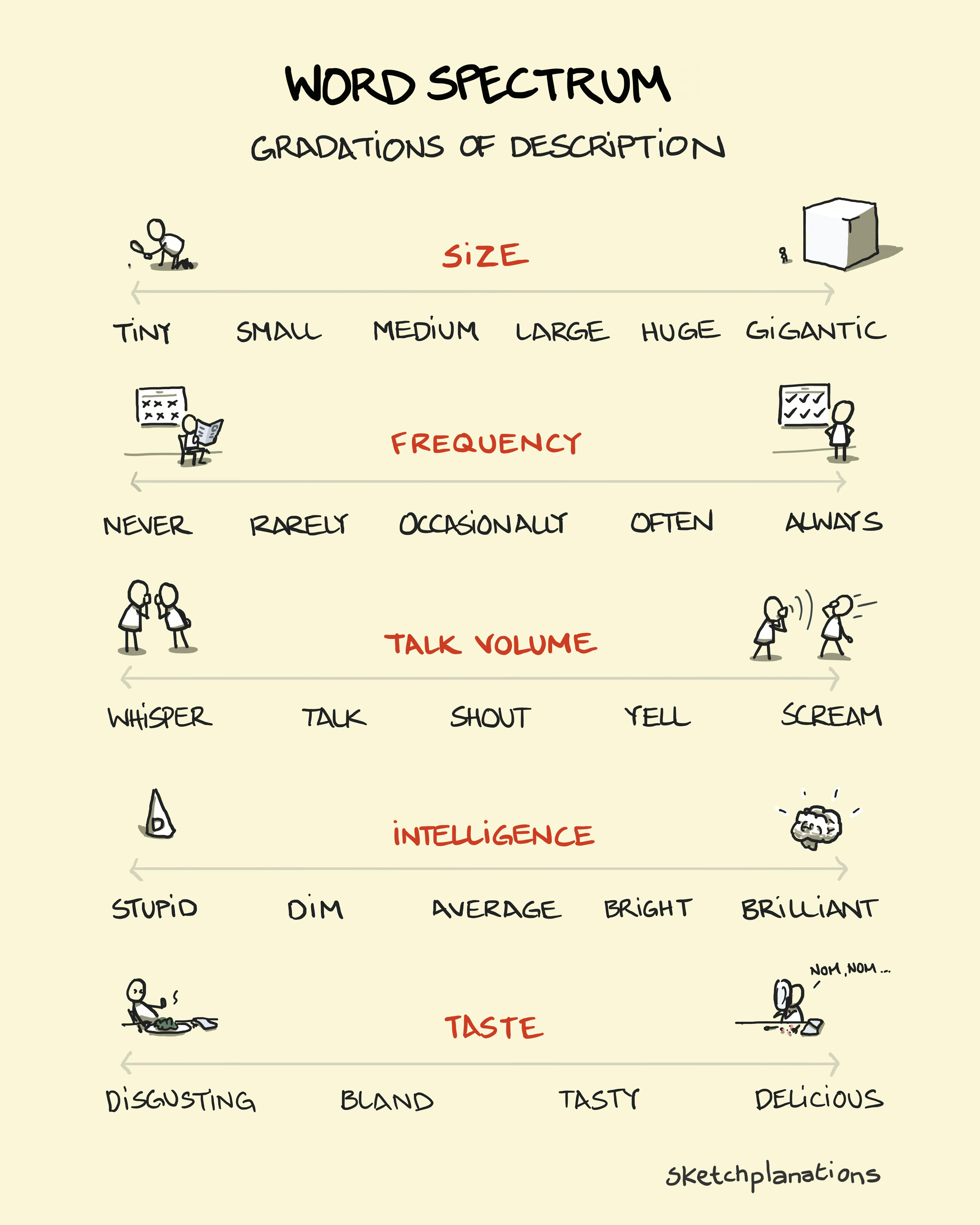 Word spectrum Word spectrum examples and explanation showing what is a word spectrum as gradations of description and examples of different word spectrums for size, frequency, talk volume, intelligence and taste