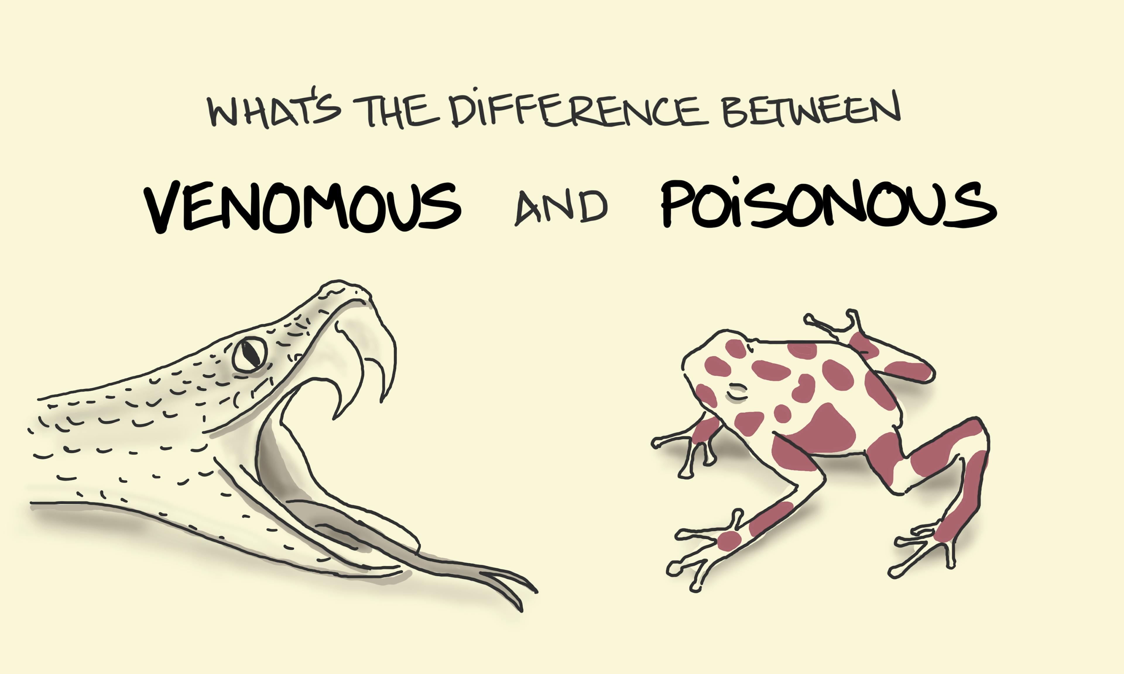 Venomous vs Poisonous the difference explained: Venomous animals inject venom through bites, stings and the like.  Poisonous animals poison you if you absorb, consume, or inhale.