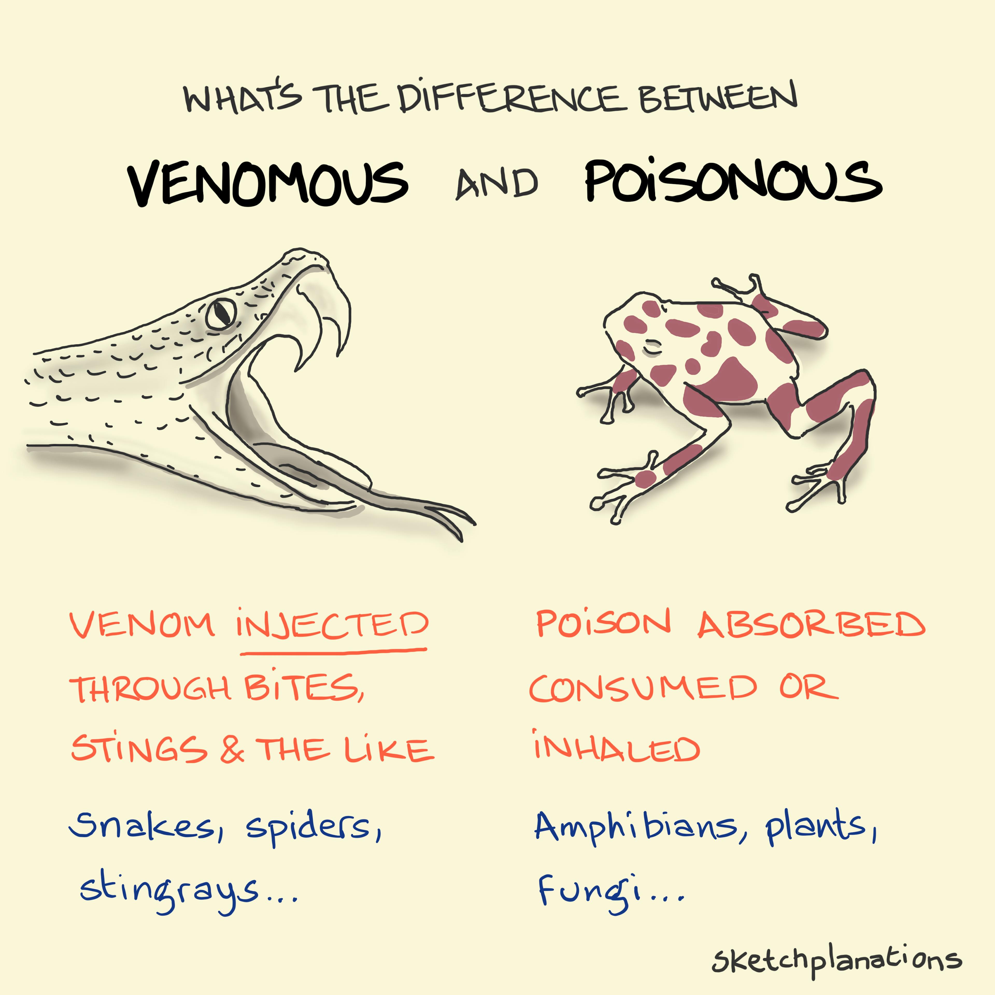 Venomous vs Poisonous the difference explained: Venomous animals inject venom through bites, stings and the like.  Poisonous animals poison you if you absorb, consume, or inhale.