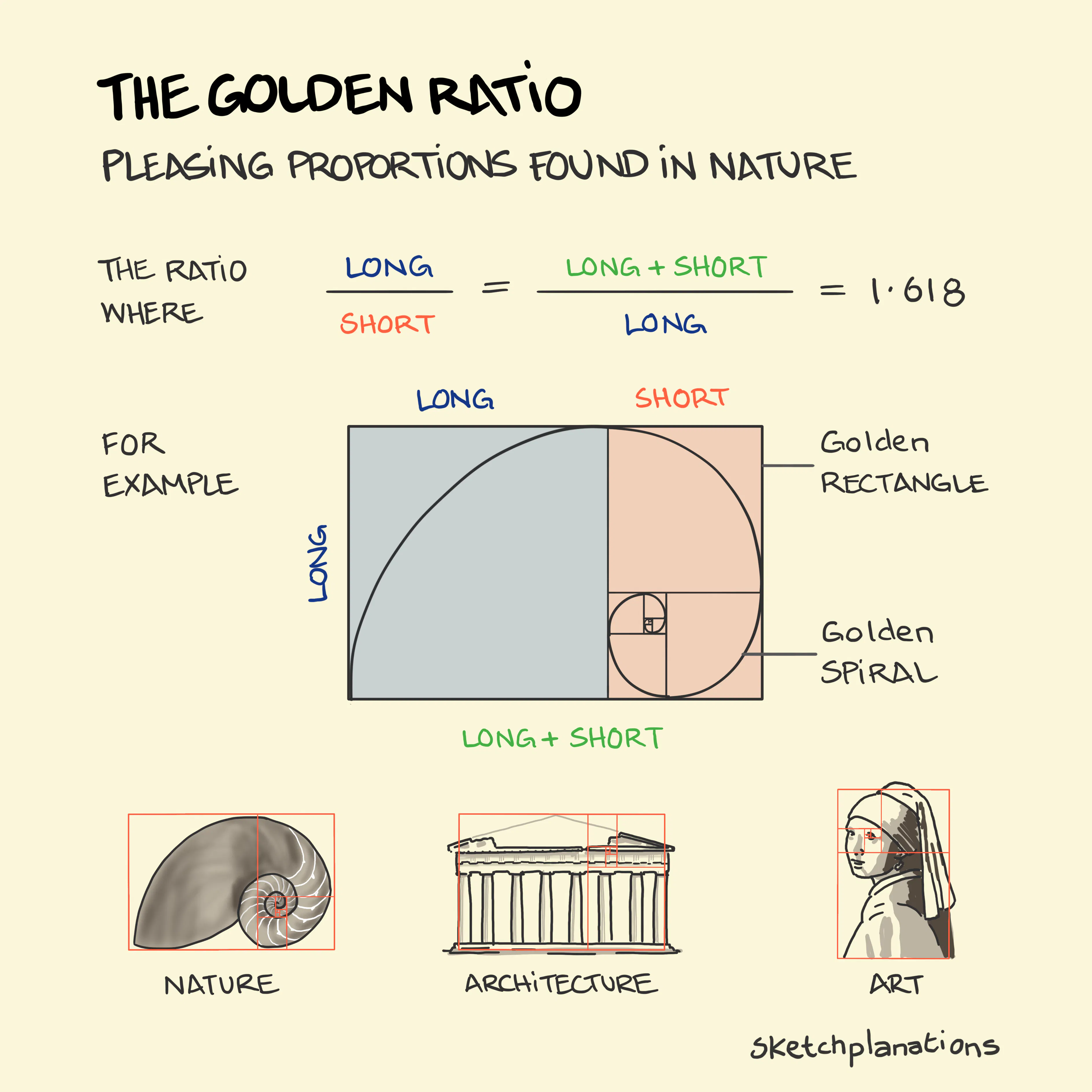 Golden Ratio In Nature Examples With Explanation Golden Ratio In Nature Examples With Explanation