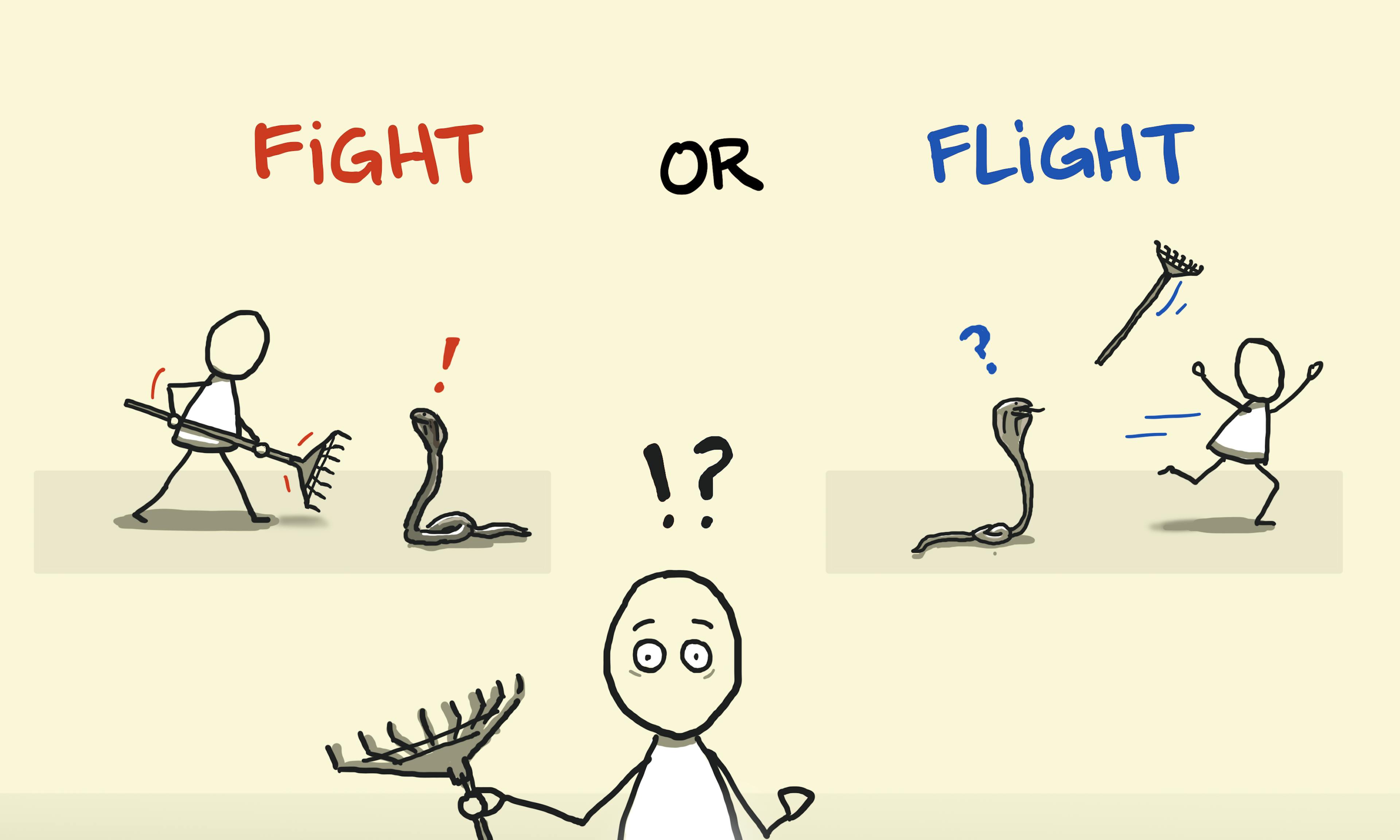 What is the Fight or Flight response example with someone deciding to fight, flight or freeze from a snake
