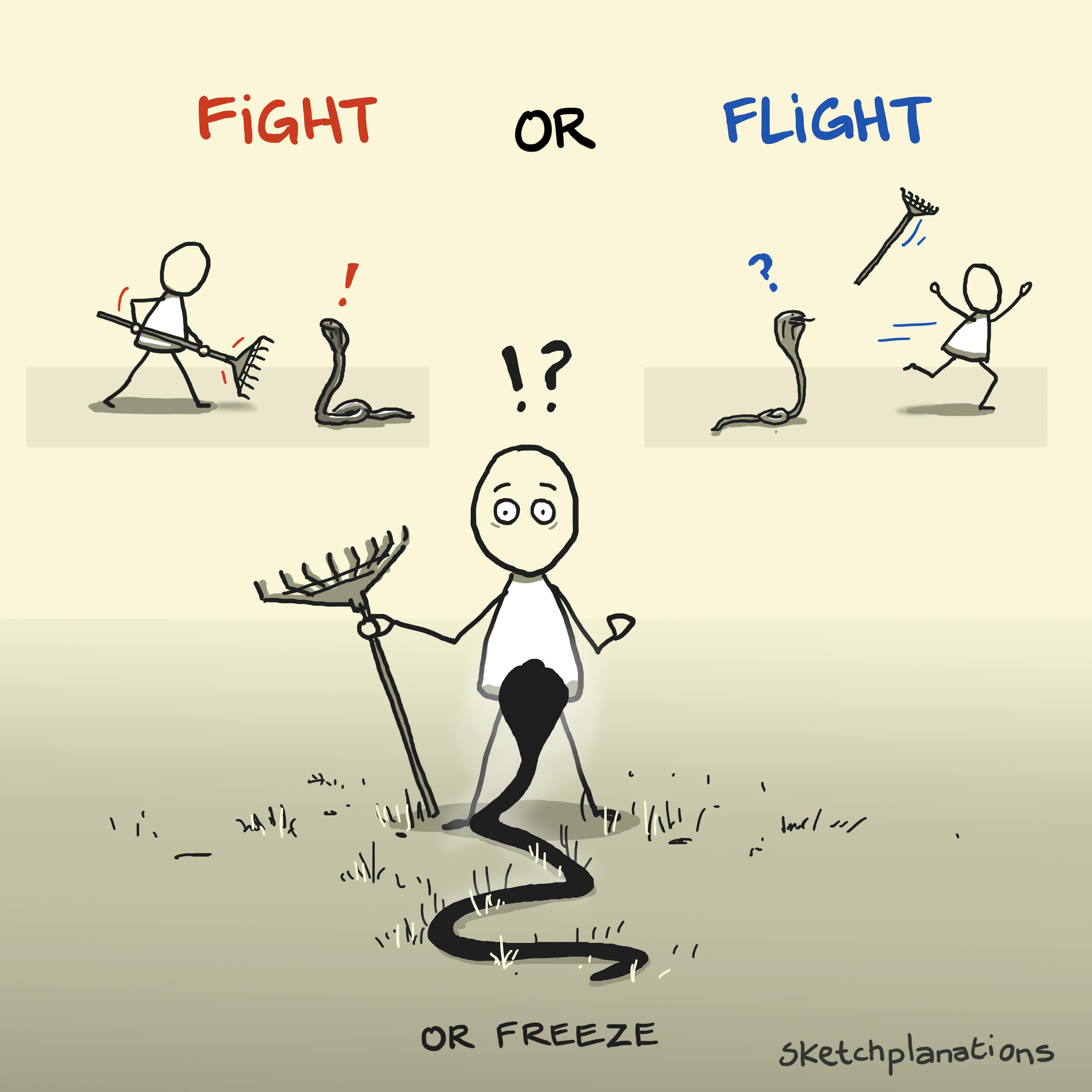 What is the Fight or Flight response example with someone deciding to fight, flight or freeze from a snake