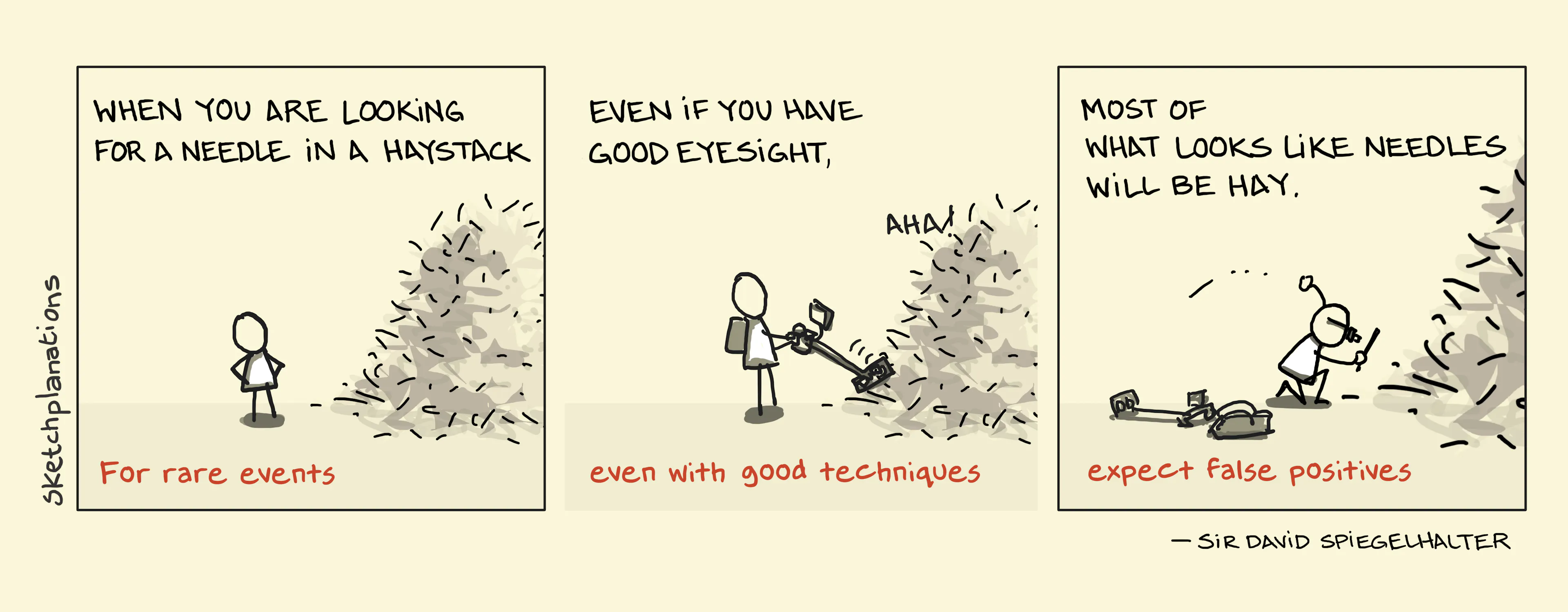What are false positives? Sir David Spiegelhalter's needle-in-a-haystack analogy shows why searching for rare events can produce many false positives, even with good detection techniques.