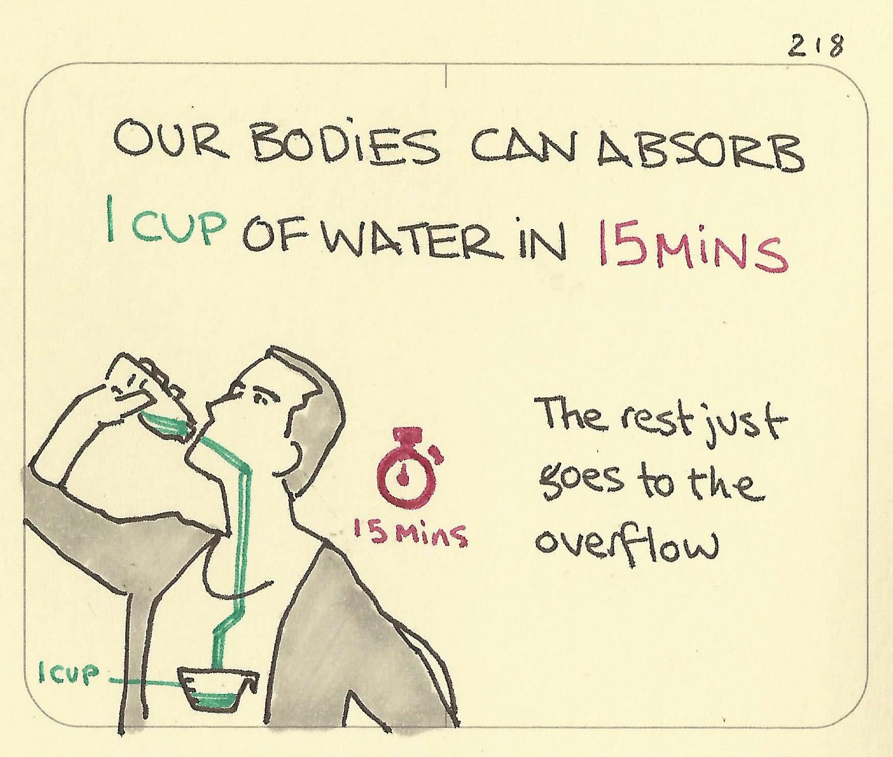 Our bodies can absorb 1 cup of water in 15 mins
