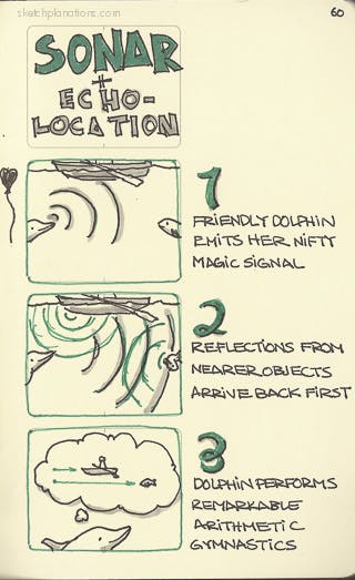 Sonar or echolocation explained