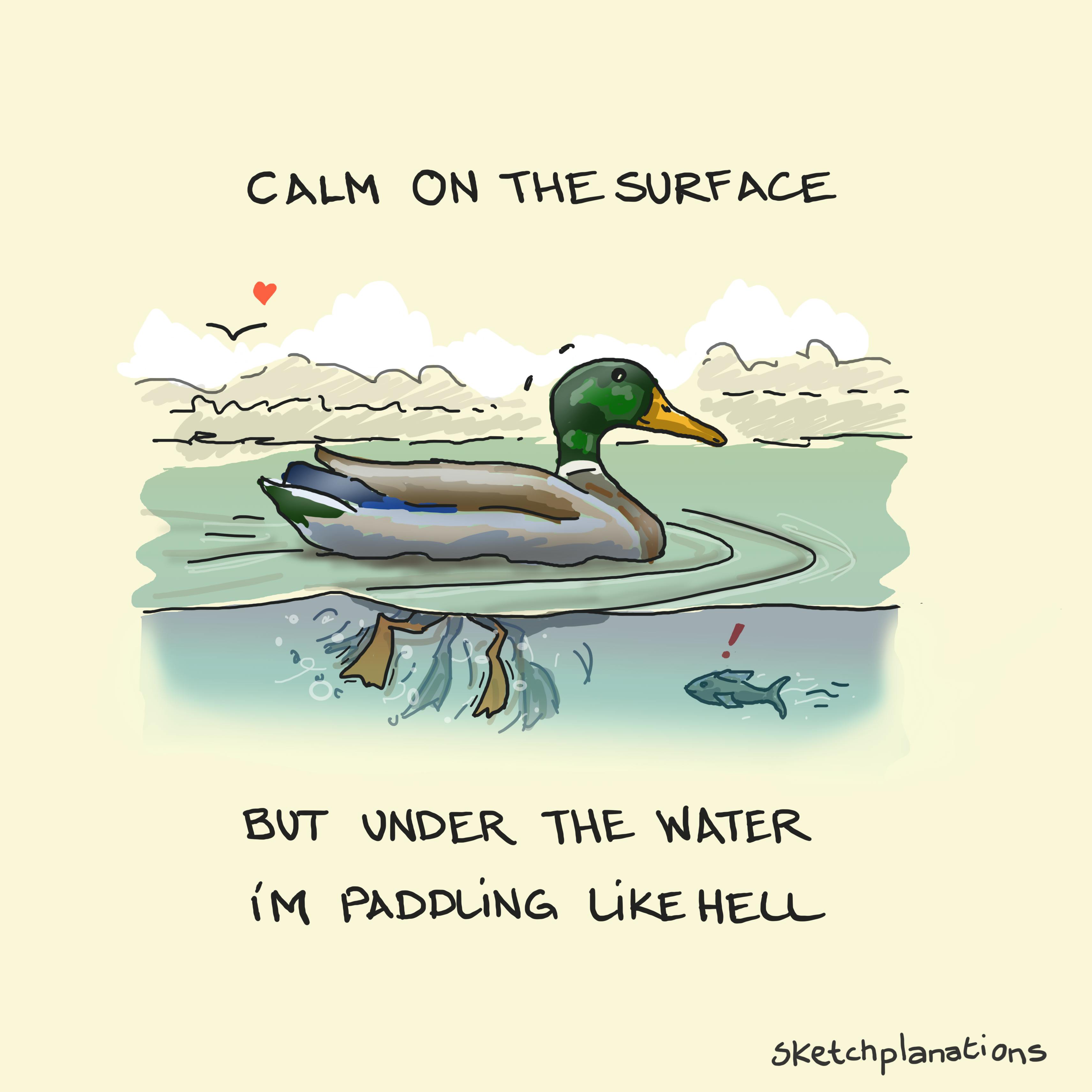 Calm Like a Duck Calm like a duck quote showing a duck who's calm on the surface, but under the water, I'm paddling like hell. Also, a Michael Caine quote