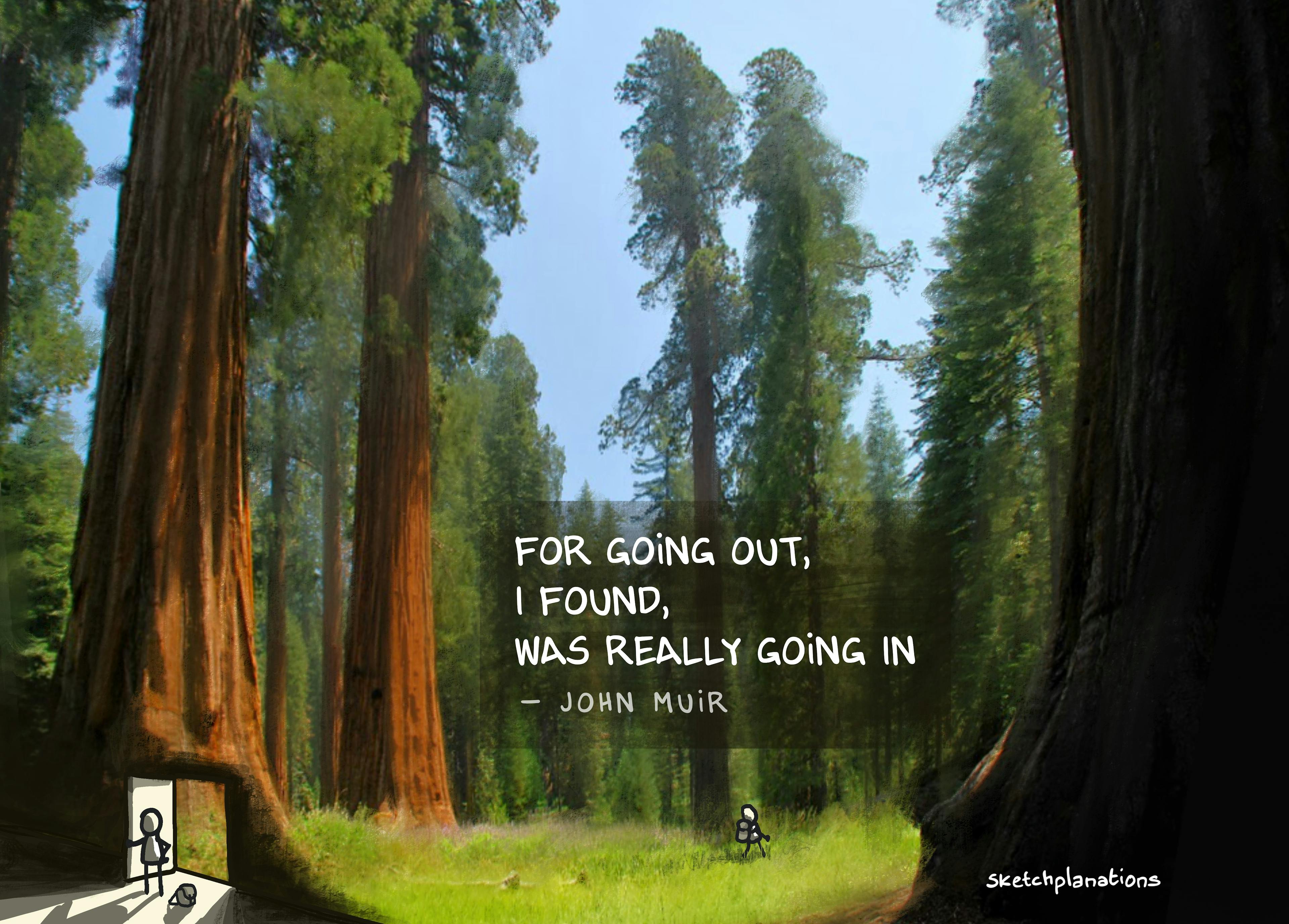 John Muir quote illustration: I only went out for a walk, and finally concluded to stay out till sundown, for going out, I found, was really going in — John Muir quote