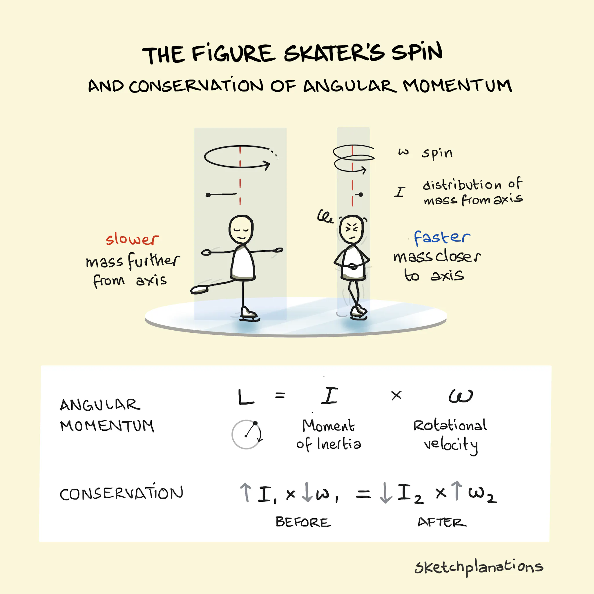 The Figure Skater's Spin and the Conservation of Angular Momentum ...