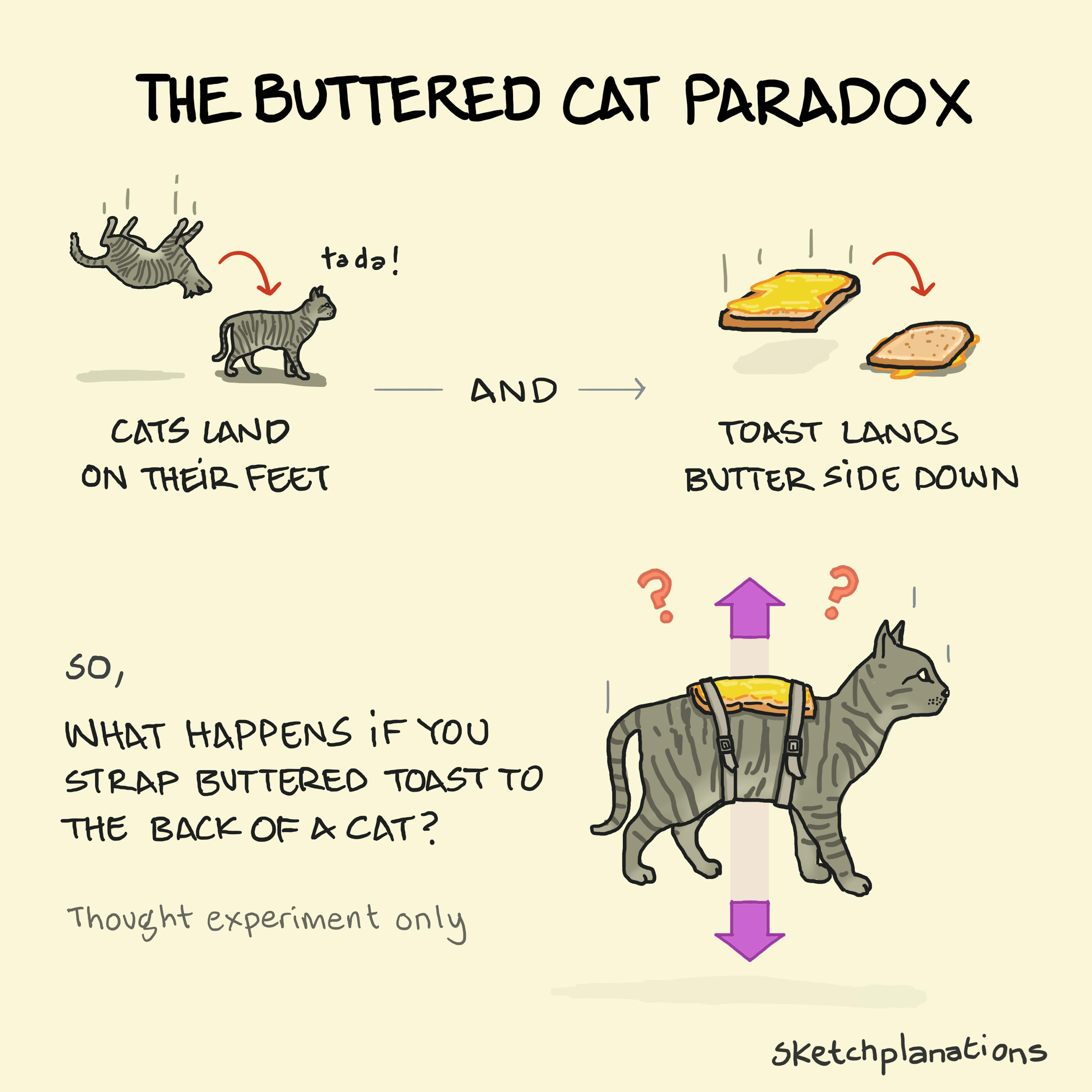 The Buttered Cat Paradox meme explained with the buttered toast phenomenon and the cat righting reflex