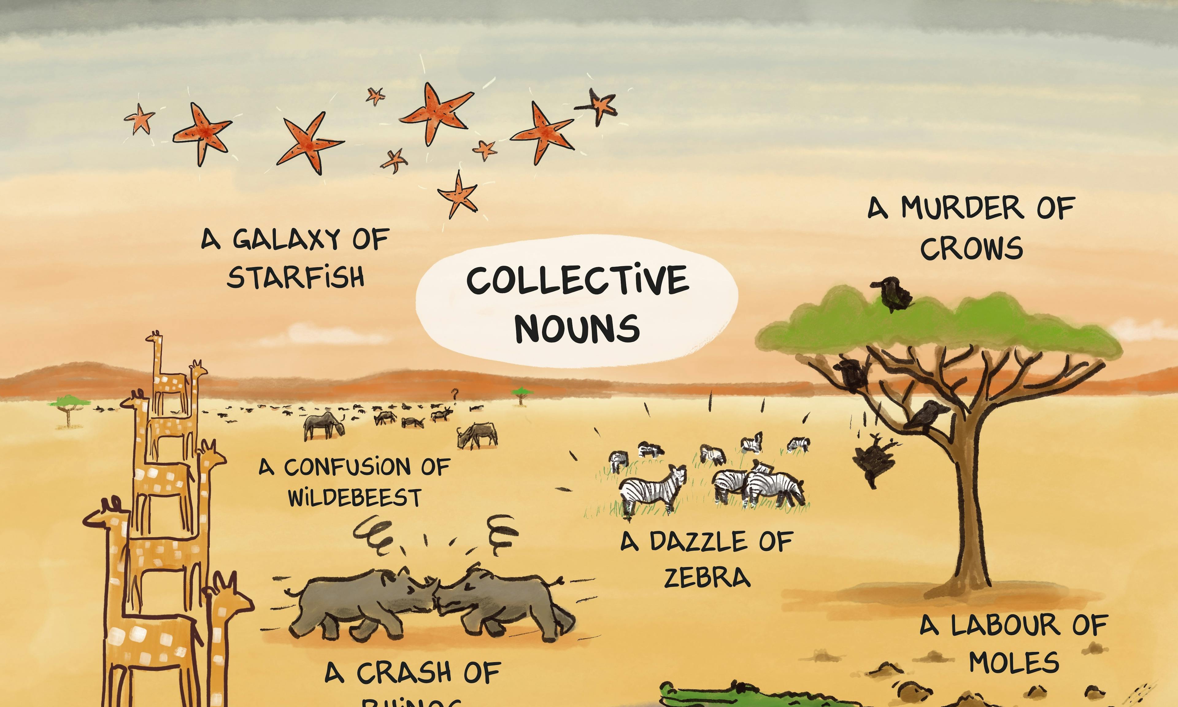 What are collective nouns for animals? Illustration of African animals showing examples of collective nouns: a tower of giraffes, a crash of rhinos, a pride of lions, a dazzle of zebra, a murder of crows, a bask of crocodiles, and others.