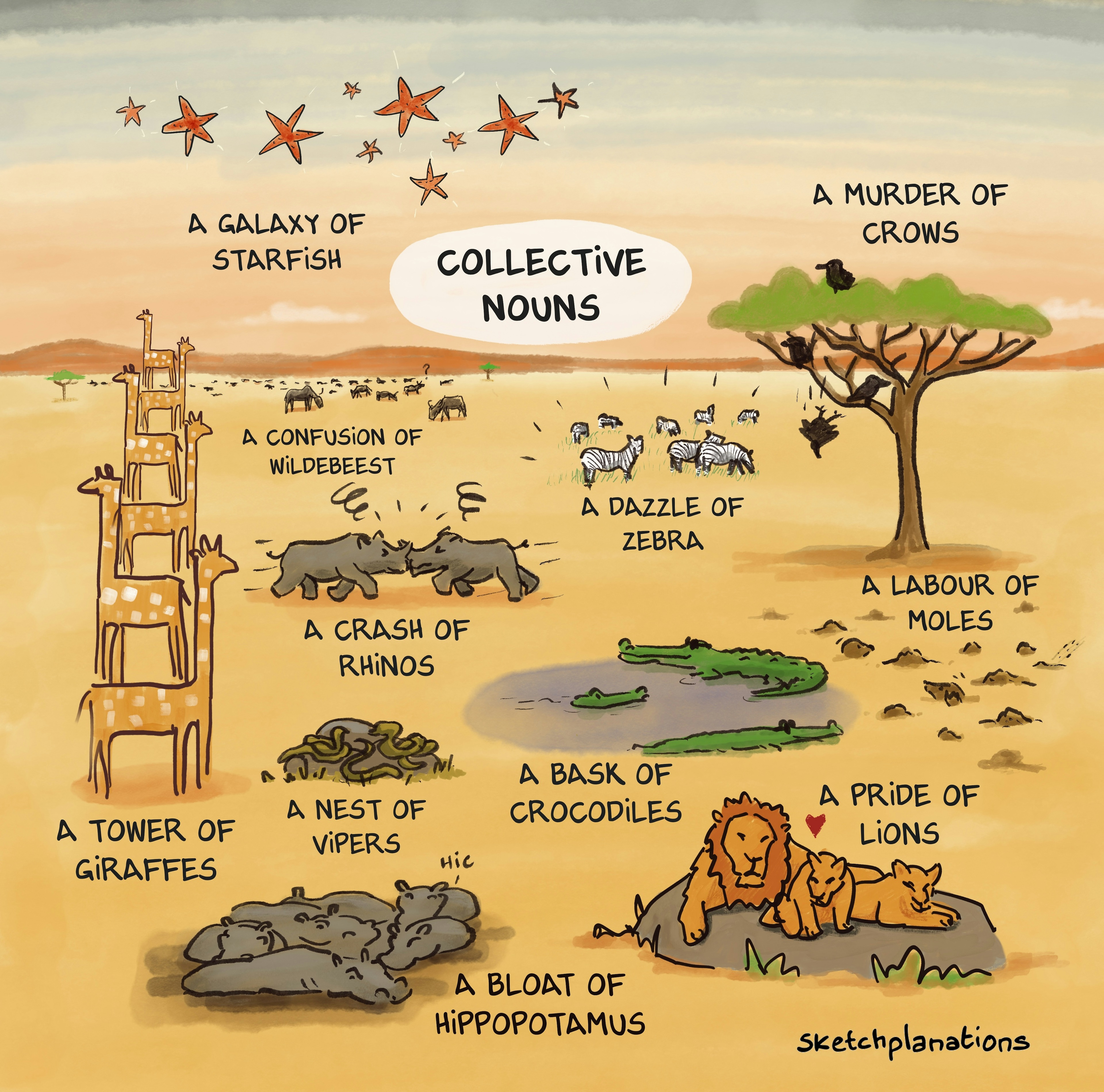 What are collective nouns for animals? Illustration of African animals showing examples of collective nouns: a tower of giraffes, a crash of rhinos, a pride of lions, a dazzle of zebra, a murder of crows, a bask of crocodiles, and others.