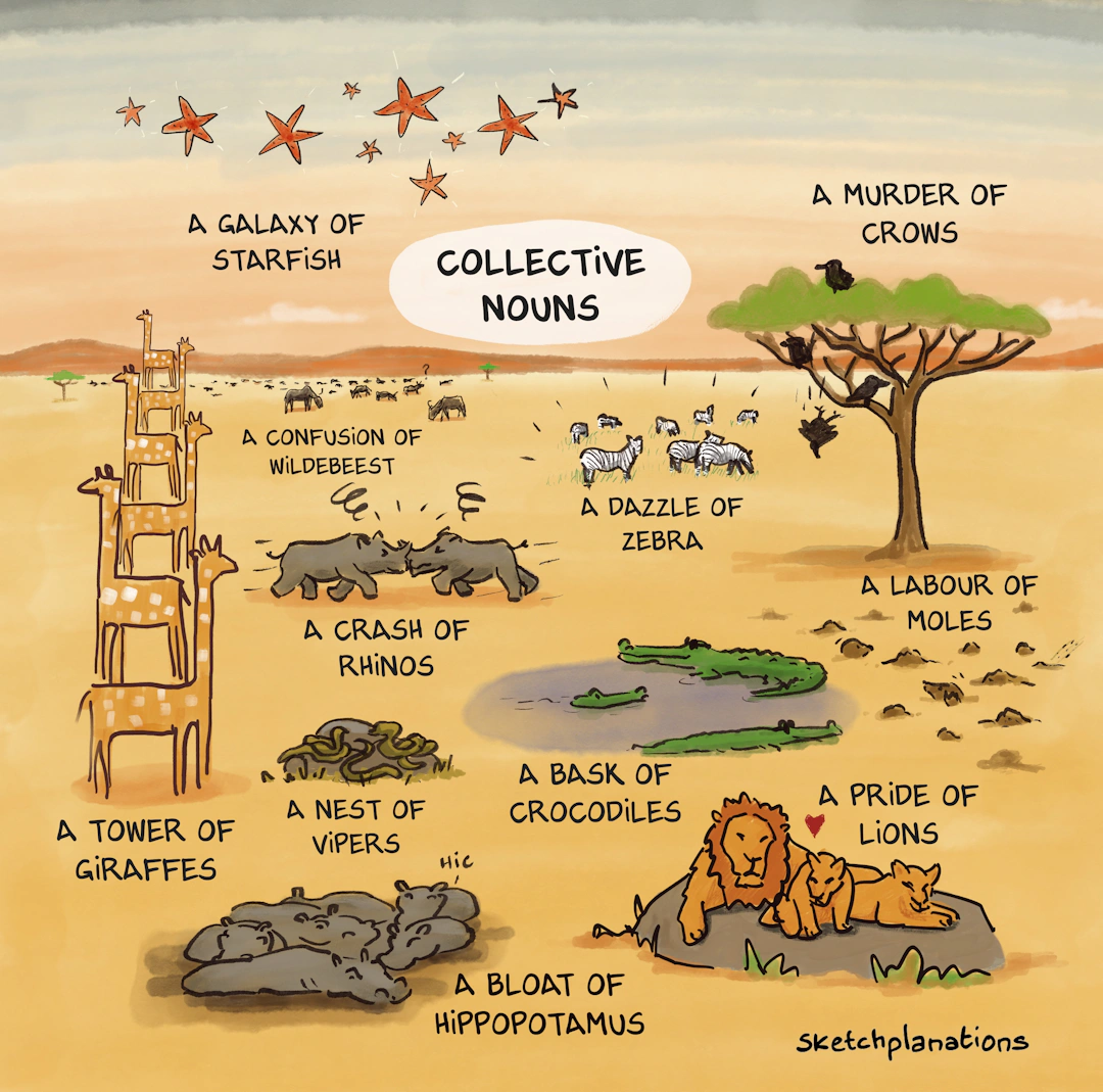 Collective Example Draw Collective Nouns: Examples, meanings, and the best ones for animals ...