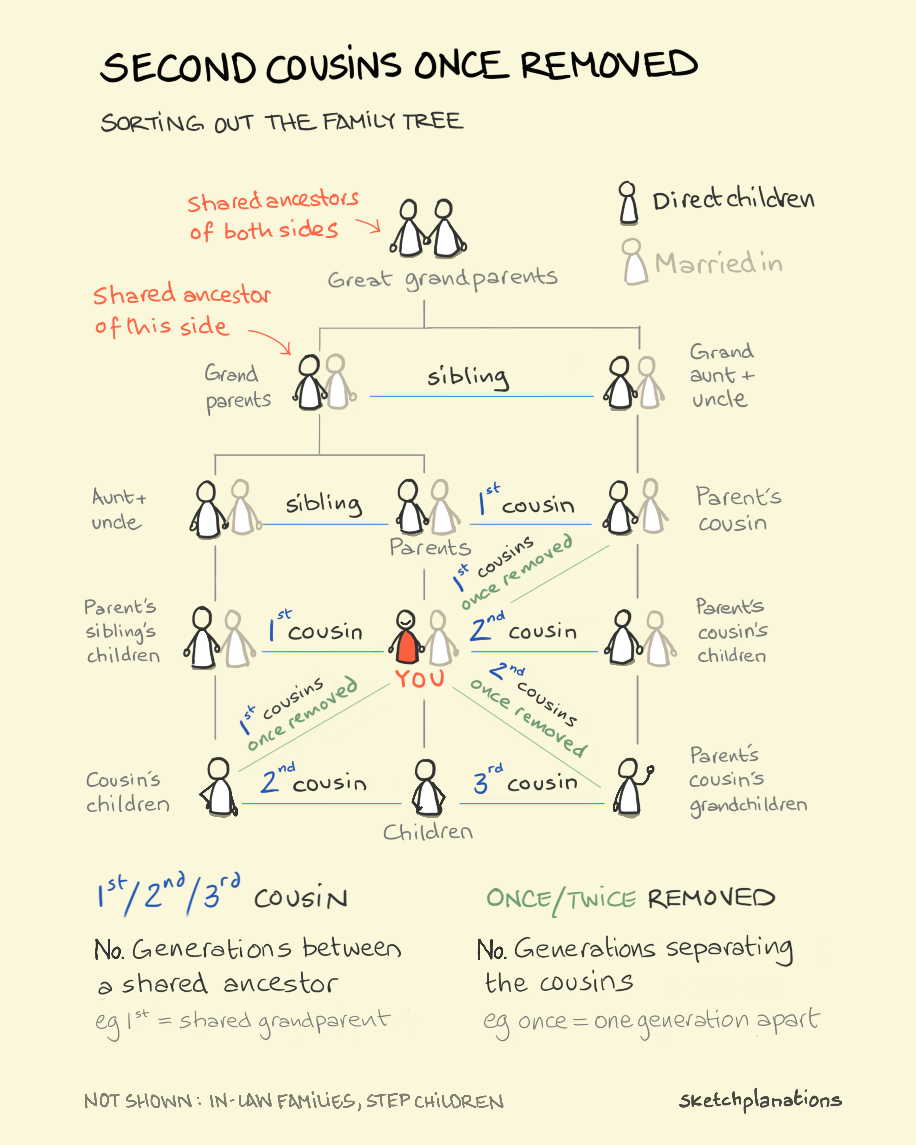 Family tree explained chart showing the meaning of second cousins, once removed and twice removed, and how cousin relationships work across generations