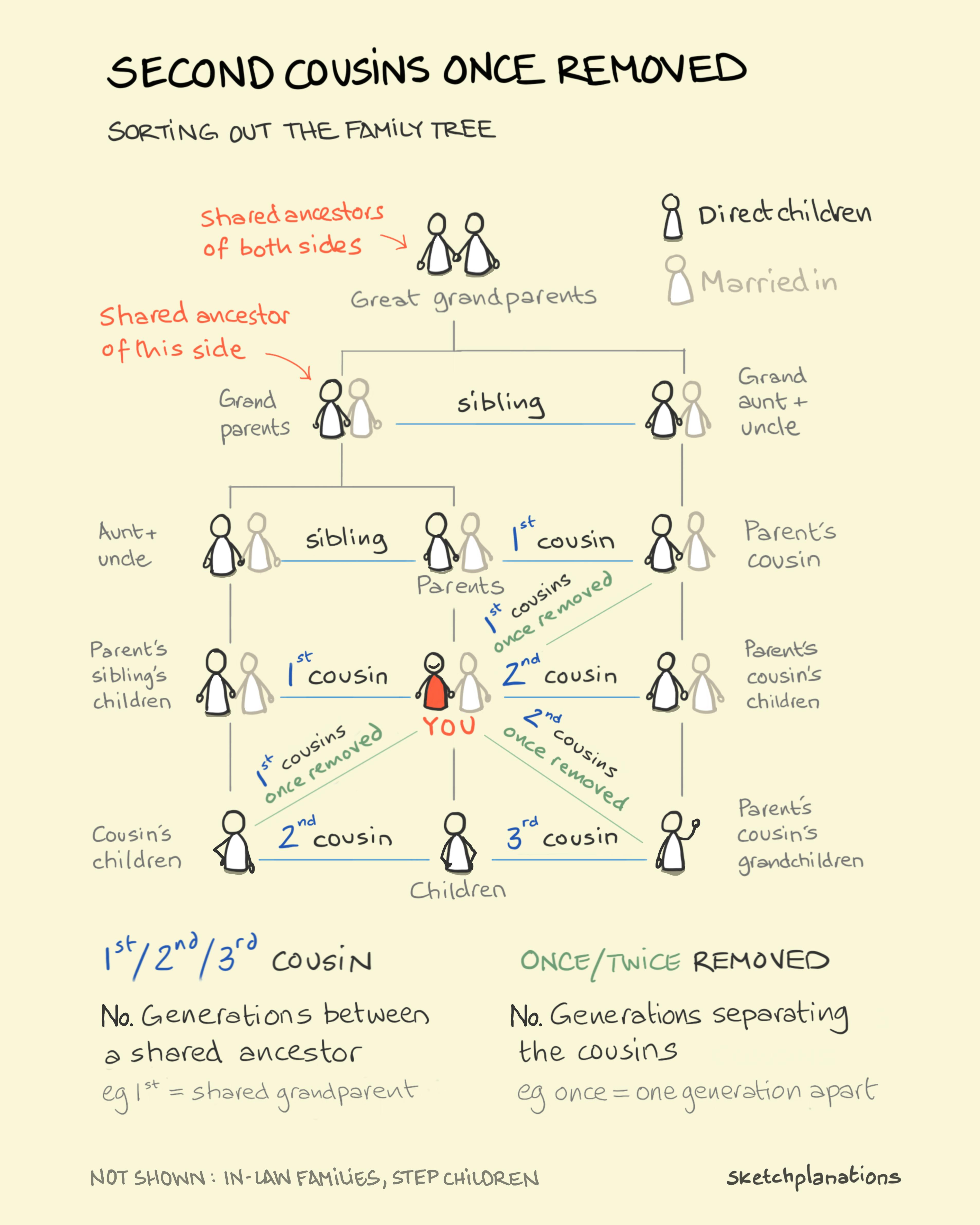 Family tree explained chart showing the meaning of second cousins, once removed and twice removed, and how cousin relationships work across generations