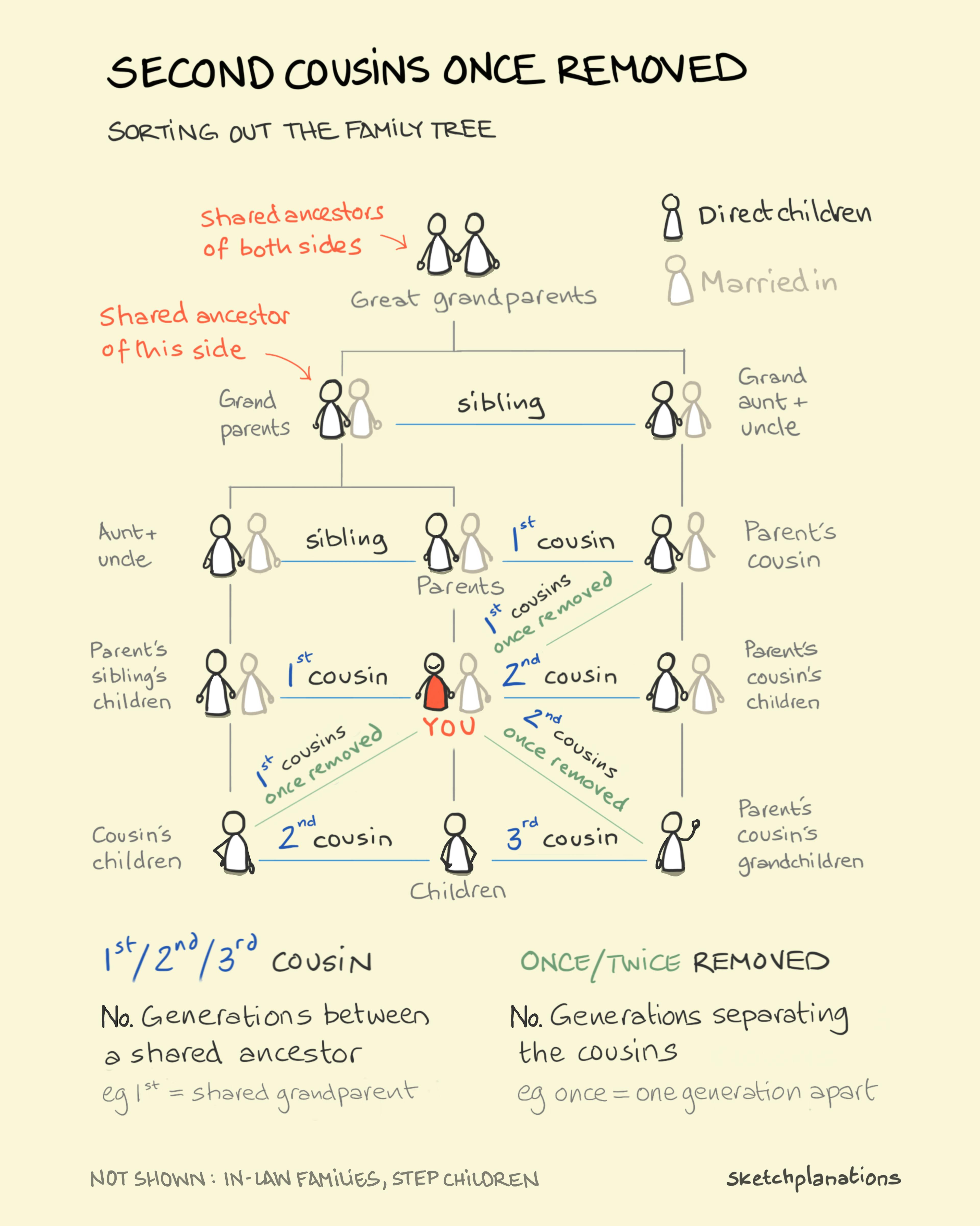 Family tree explained chart showing the meaning of second cousins, once removed and twice removed, and how cousin relationships work across generations