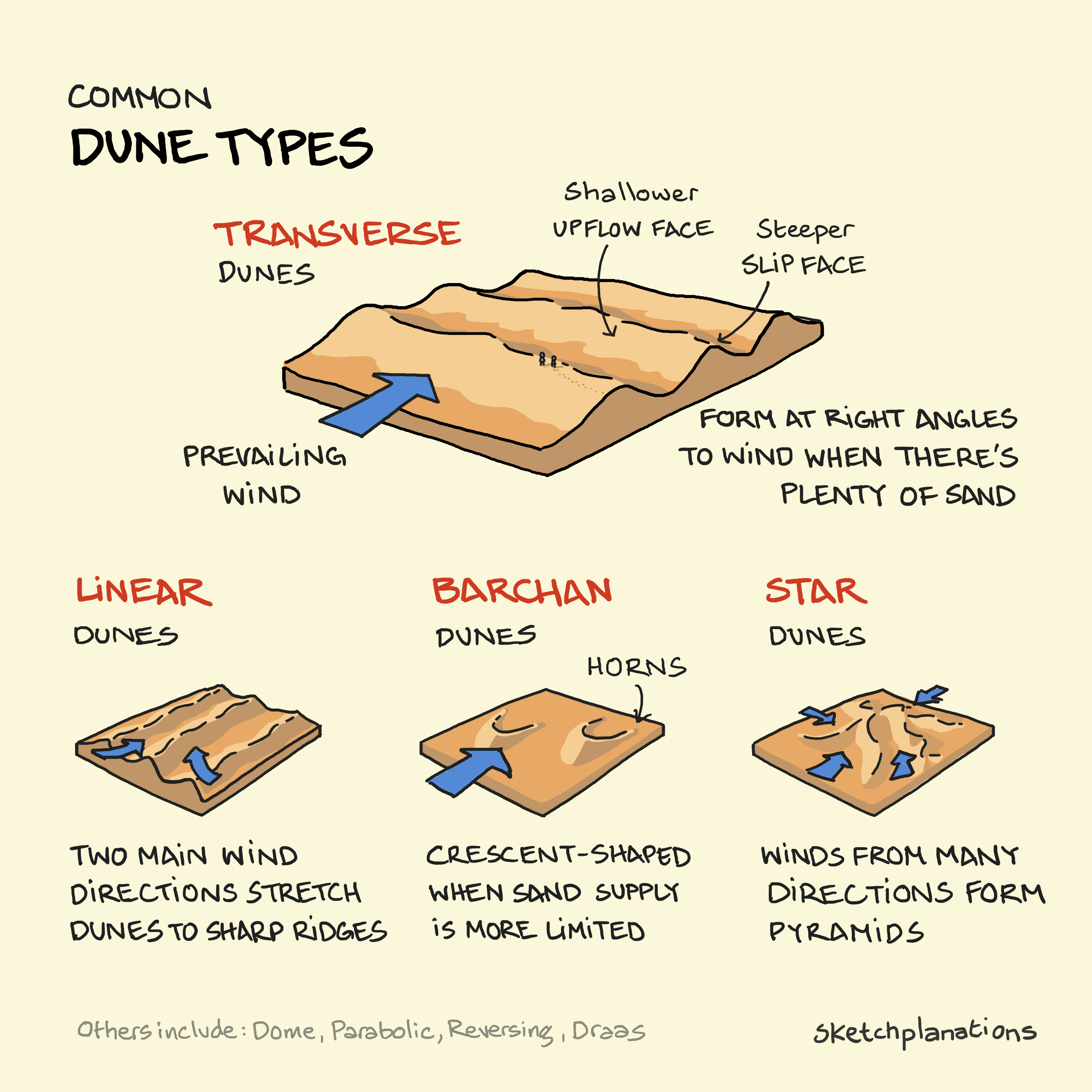 Common dune types showing how different wind patterns and sand availability shape transverse dunes, linear dunes, barchan dunes and star dunes.