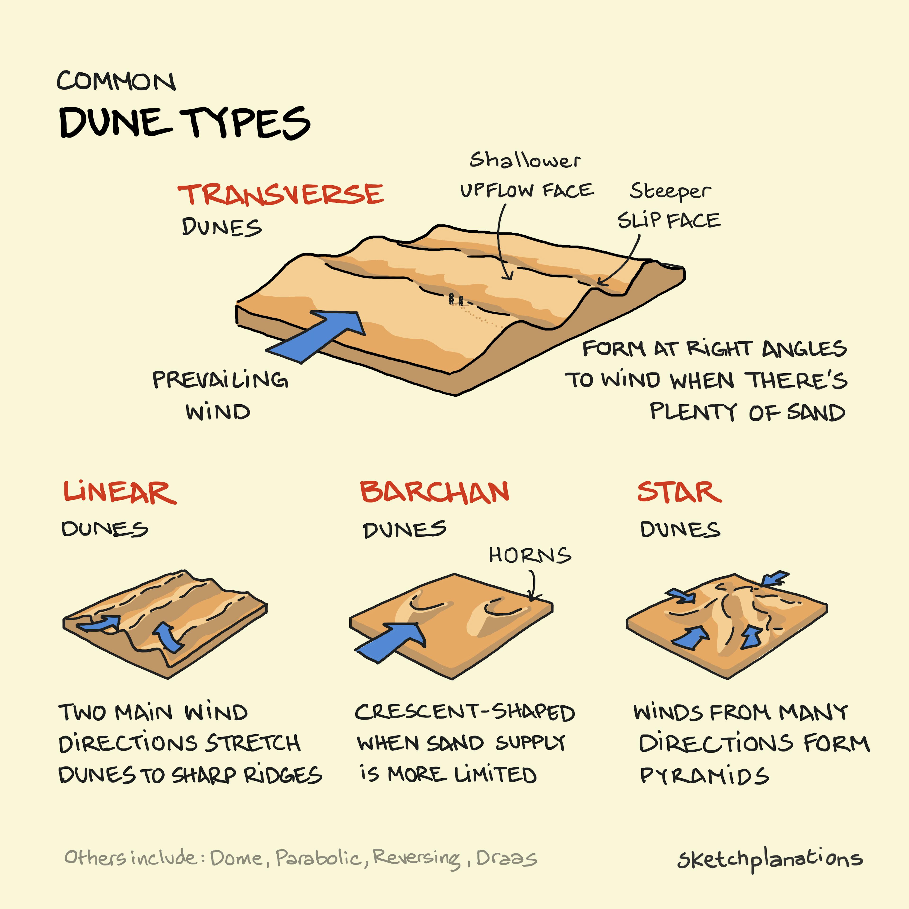 Dune Types: Transverse, Linear, Barchan, Star Dunes Common dune types showing how different wind patterns and sand availability shape transverse dunes, linear dunes, barchan dunes and star dunes.