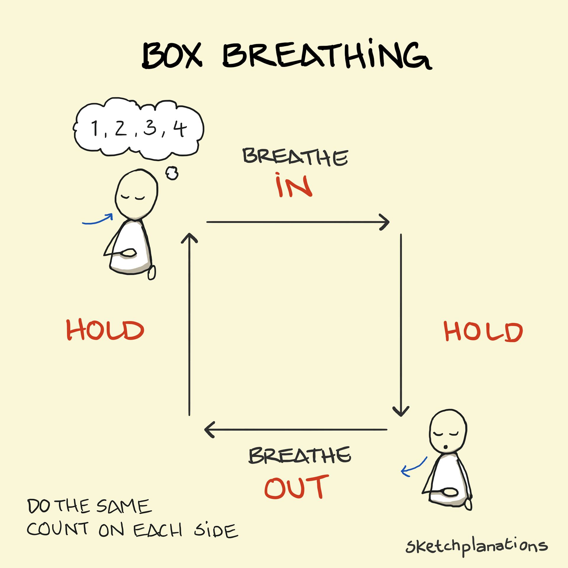 Box Breathing Sketchplanations box-breathing-sketchplanations