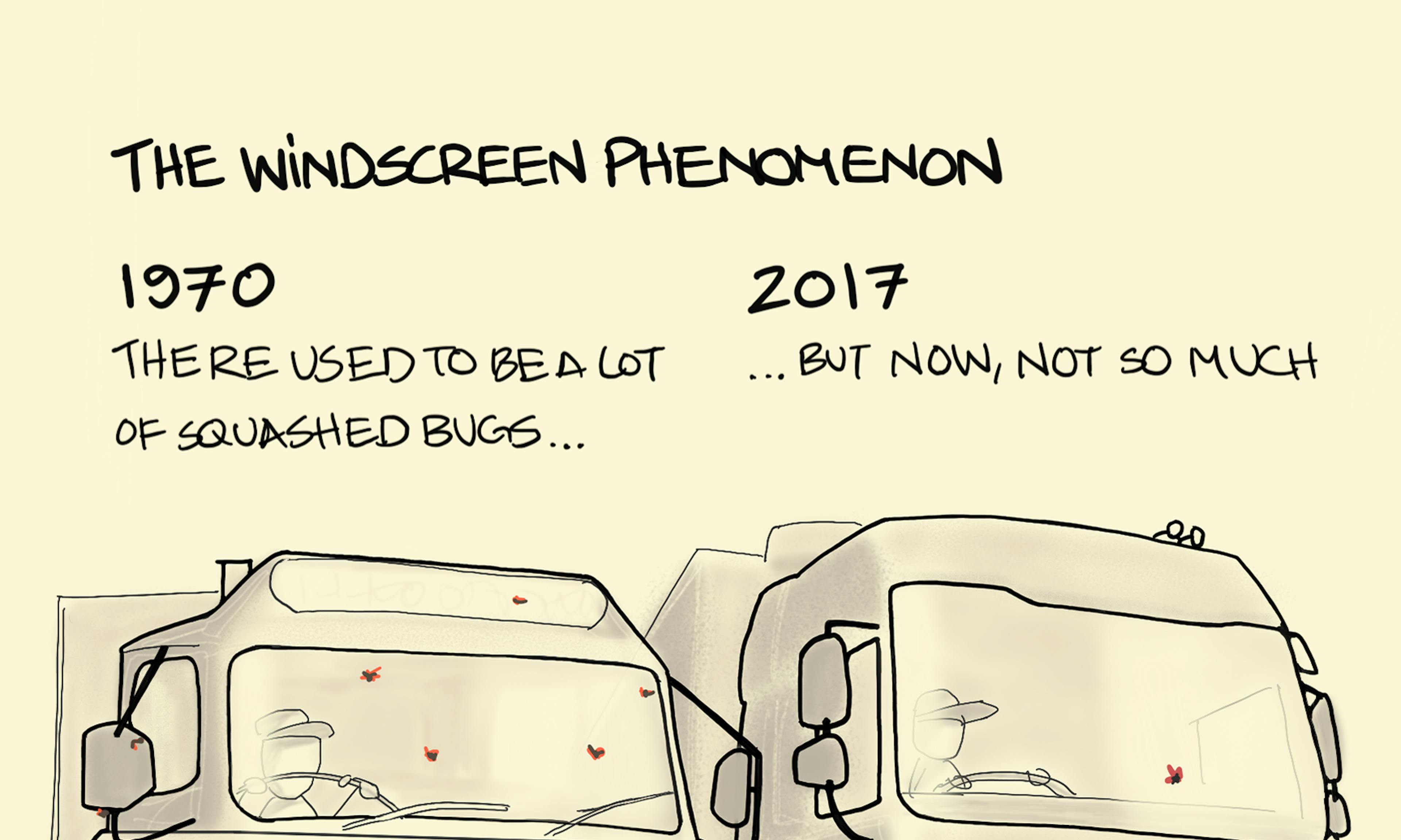What is the windscreen phenomenon explanation: showing a 1970 truck with bugs splattered on the windscreen and a 2017 with very few, reflecting, most likely a general decline in flying insects
